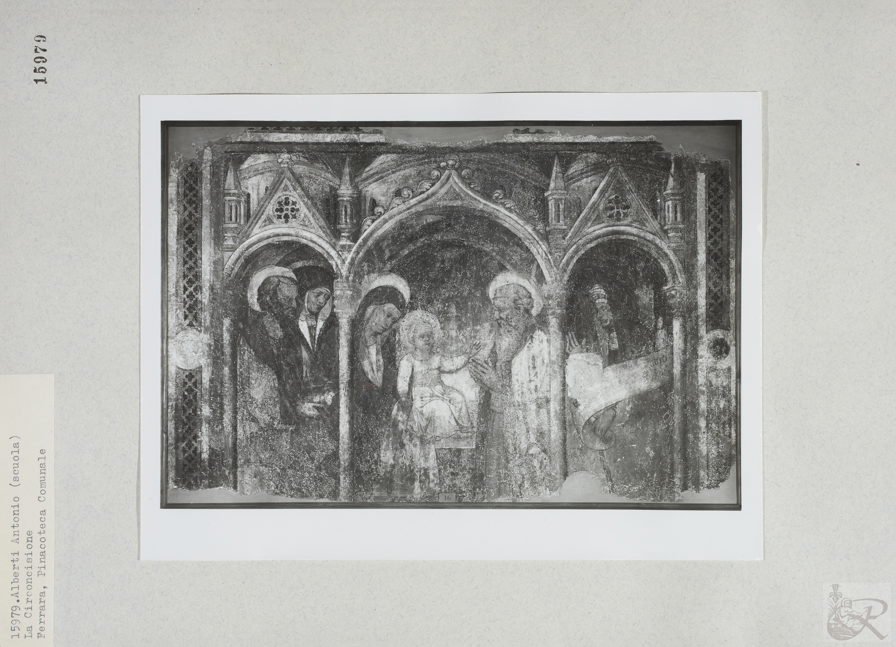 Immagine di anteprima