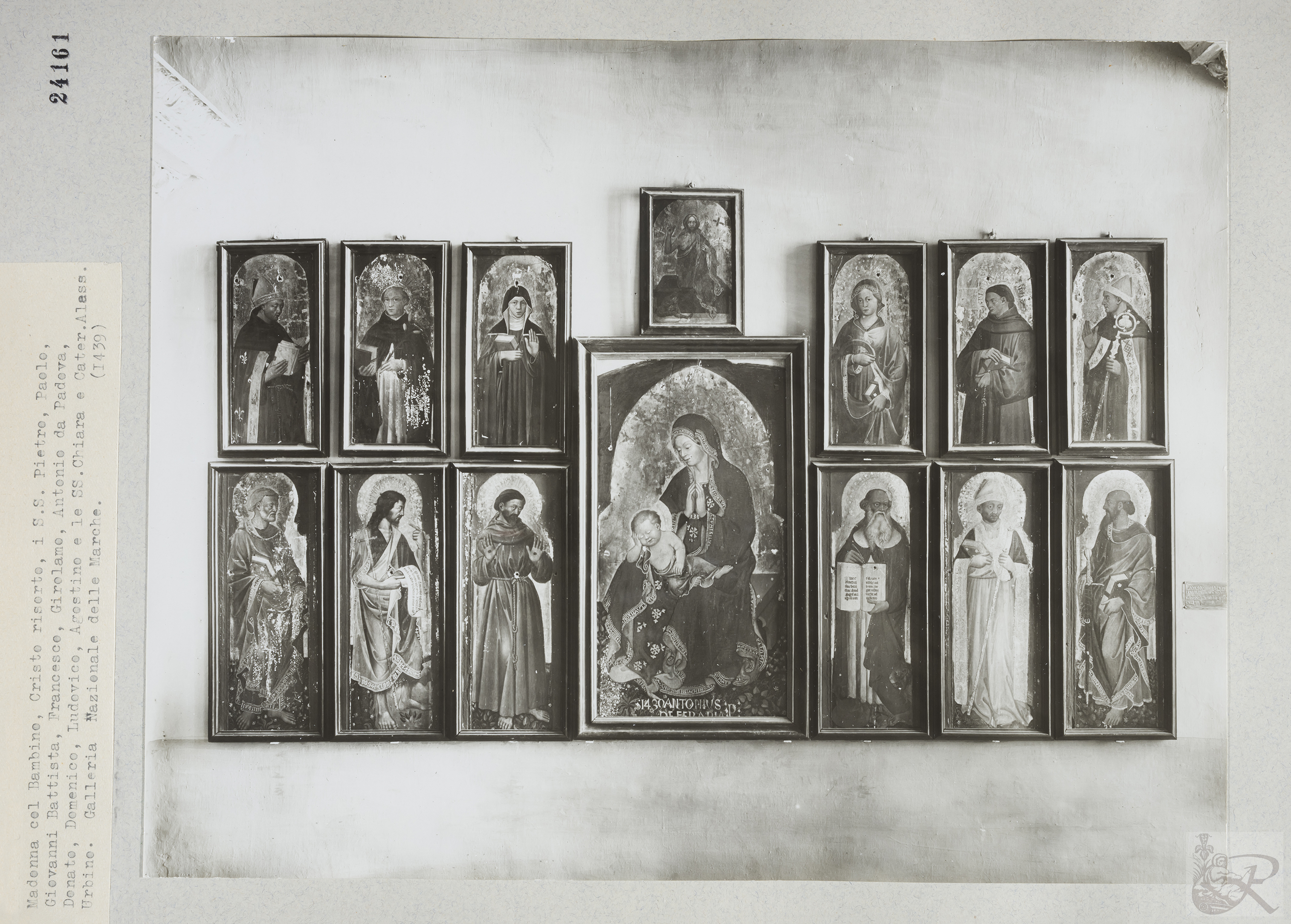 Immagine di anteprima