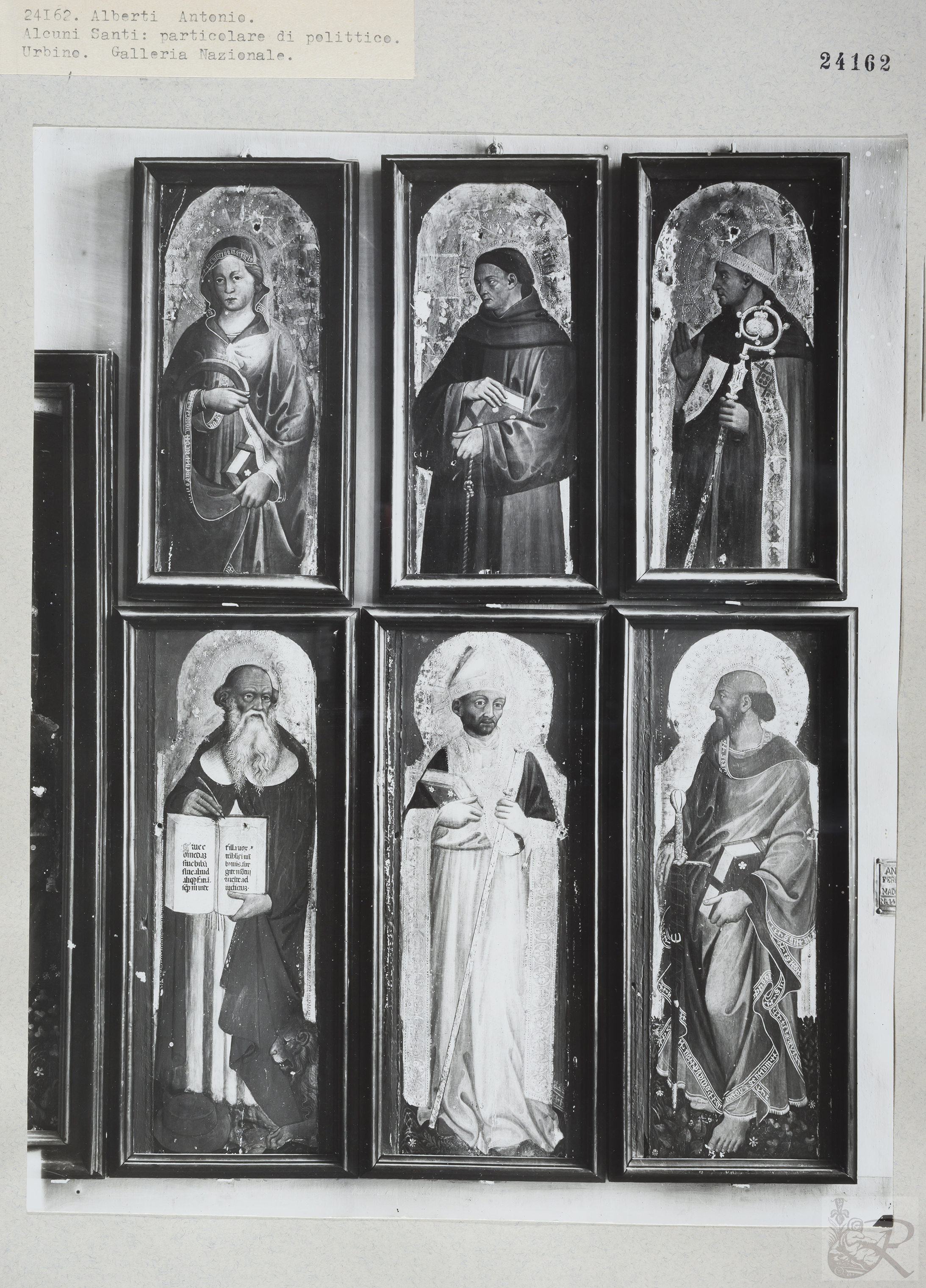 Immagine di anteprima