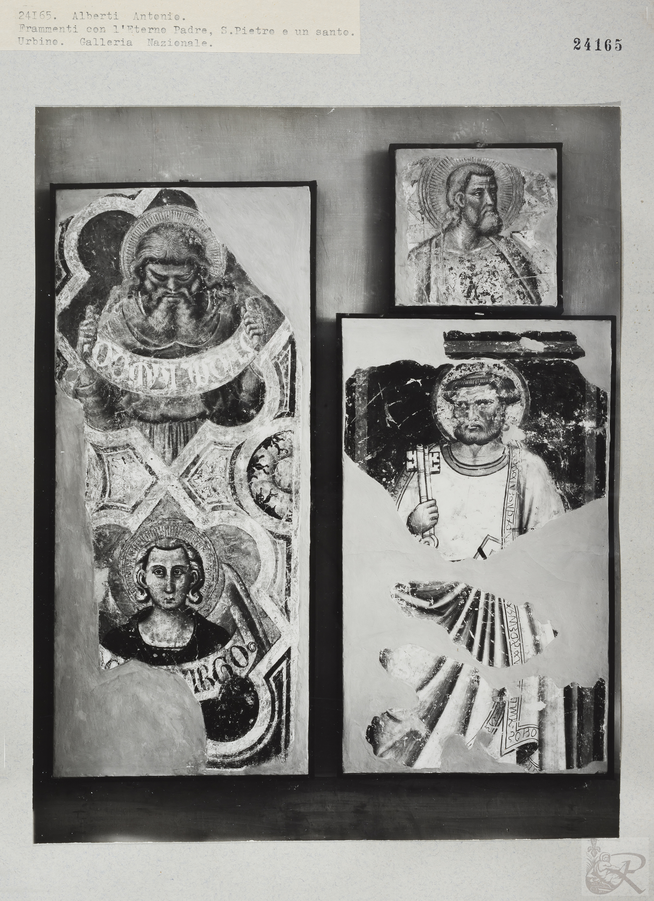 Immagine di anteprima