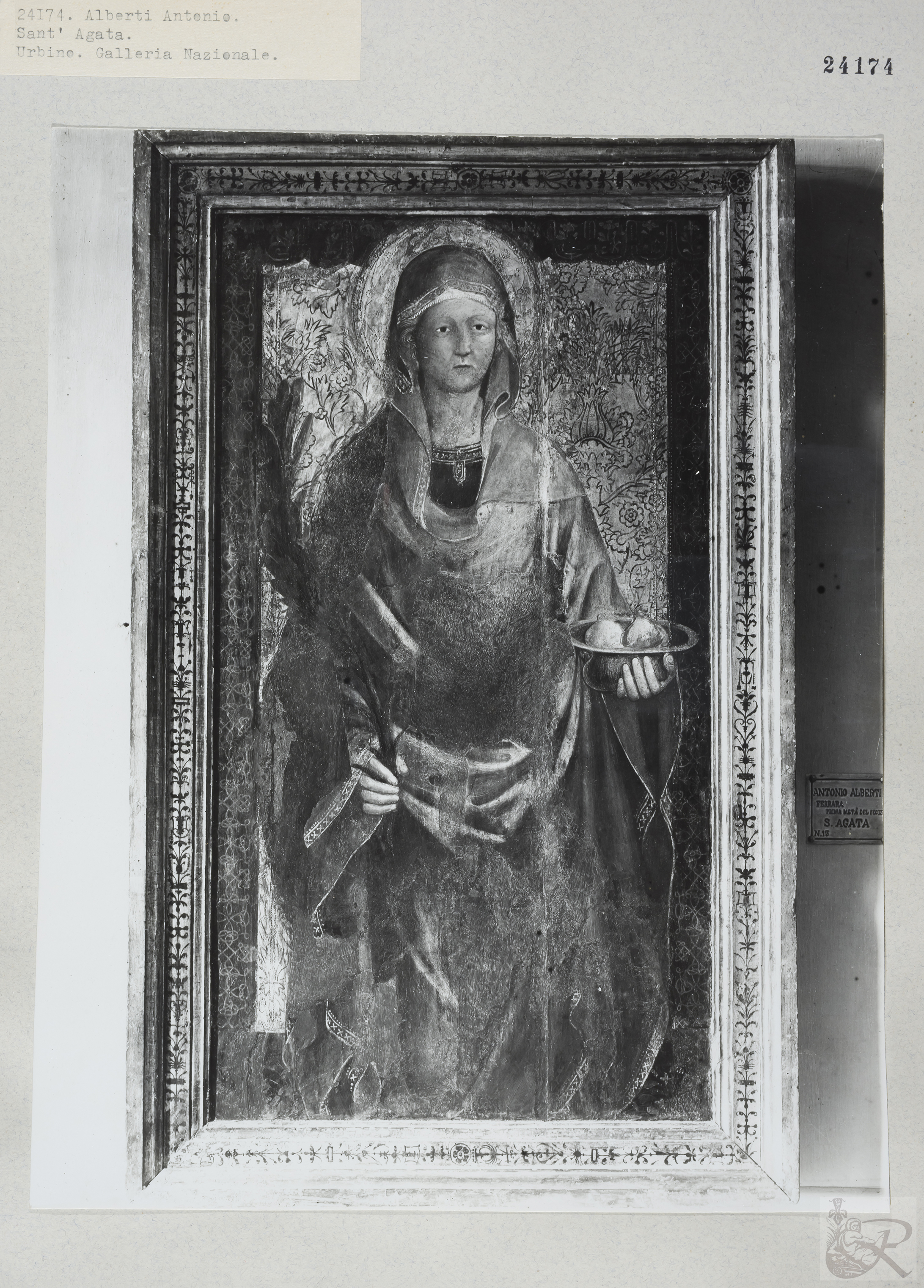 Immagine di anteprima