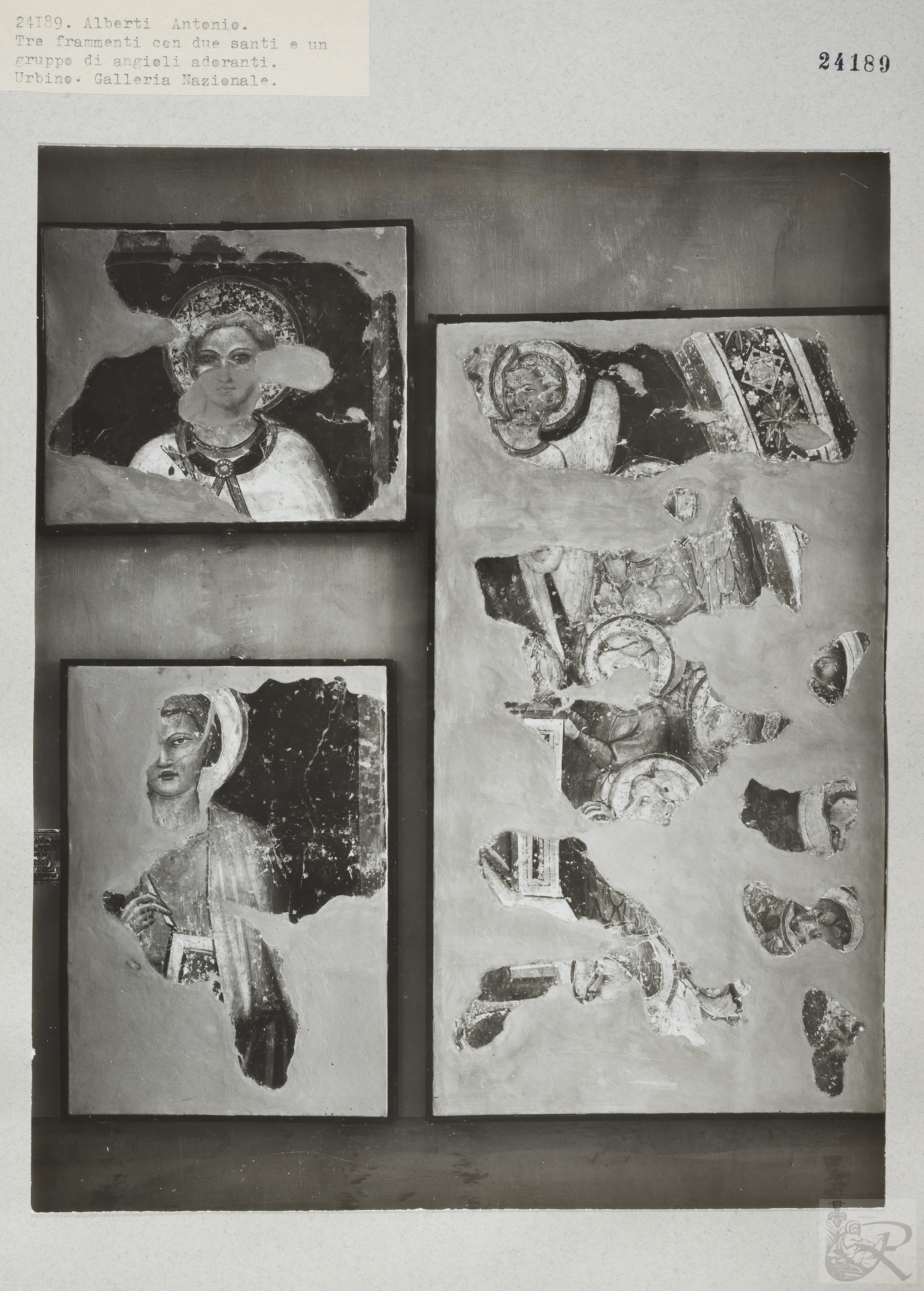 Immagine di anteprima