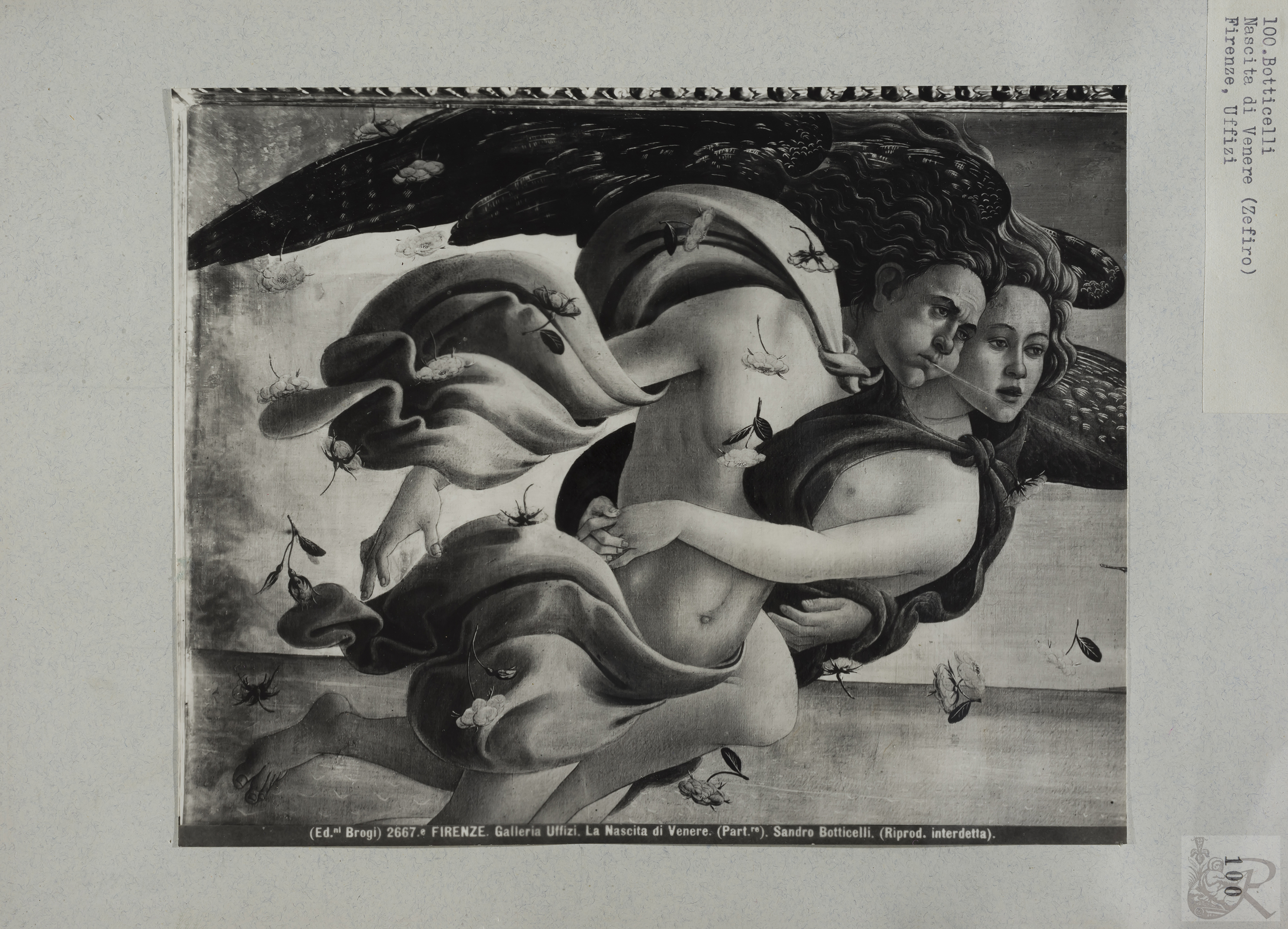 Immagine di anteprima