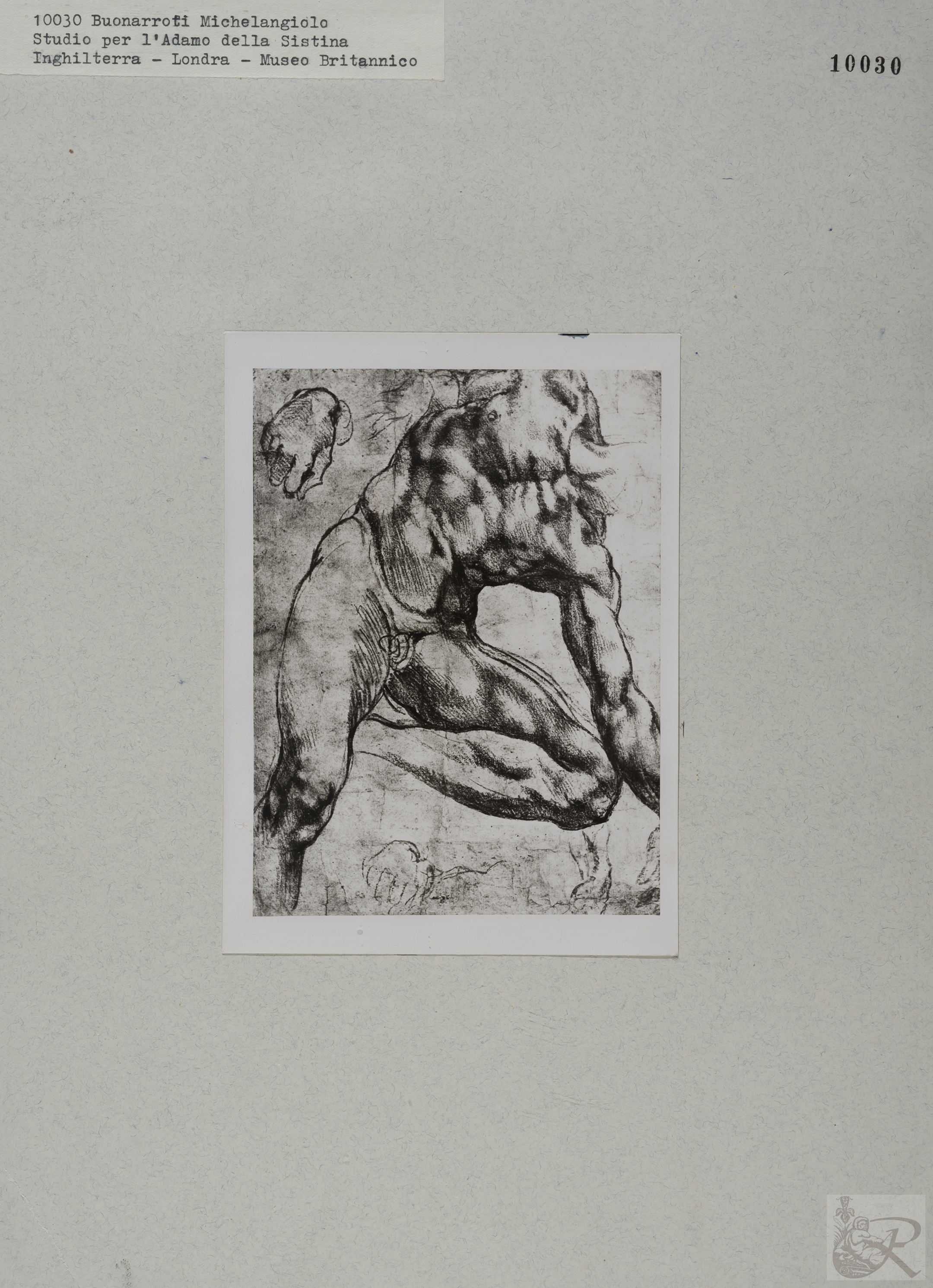 Immagine di anteprima