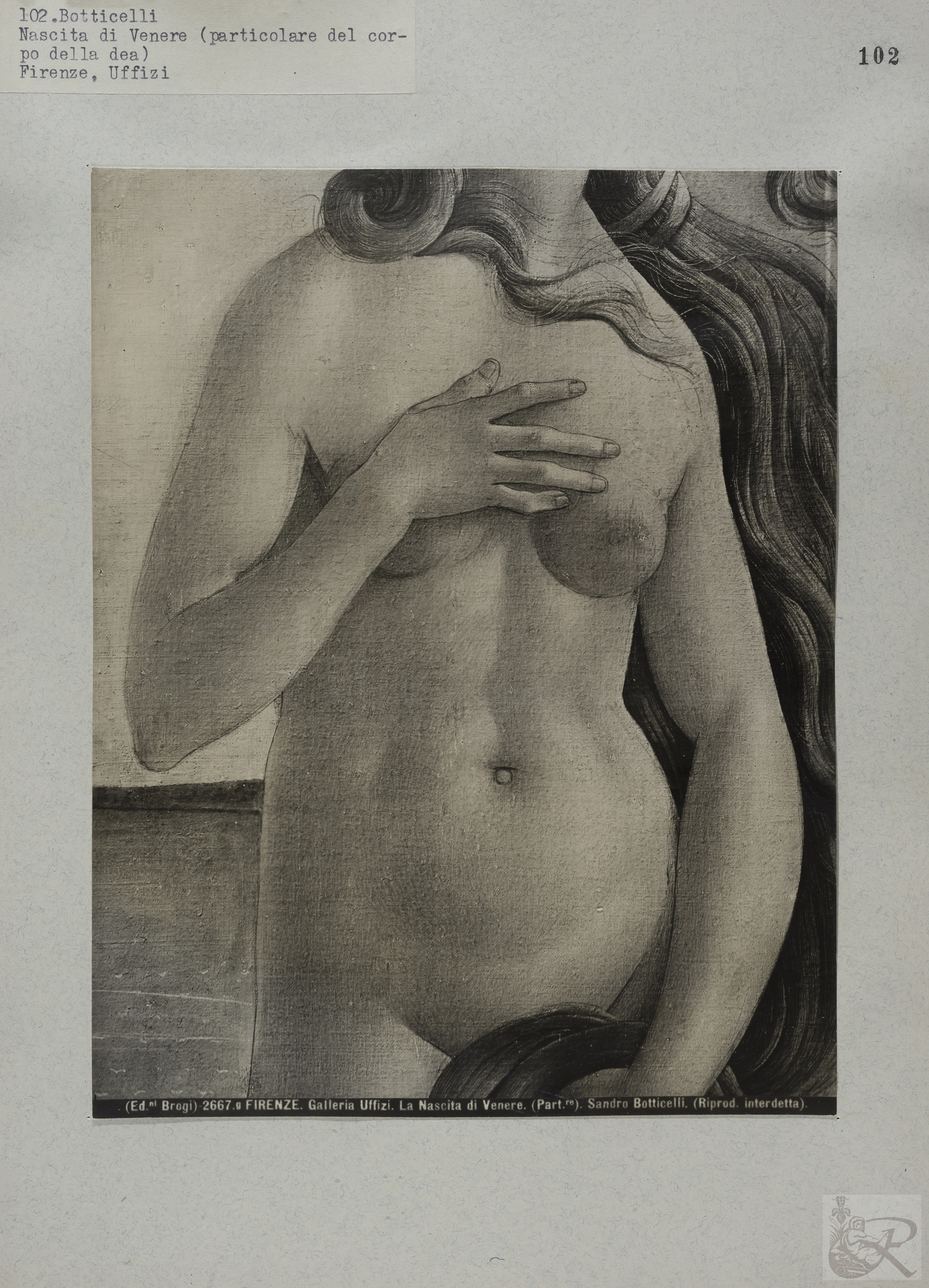 Immagine di anteprima