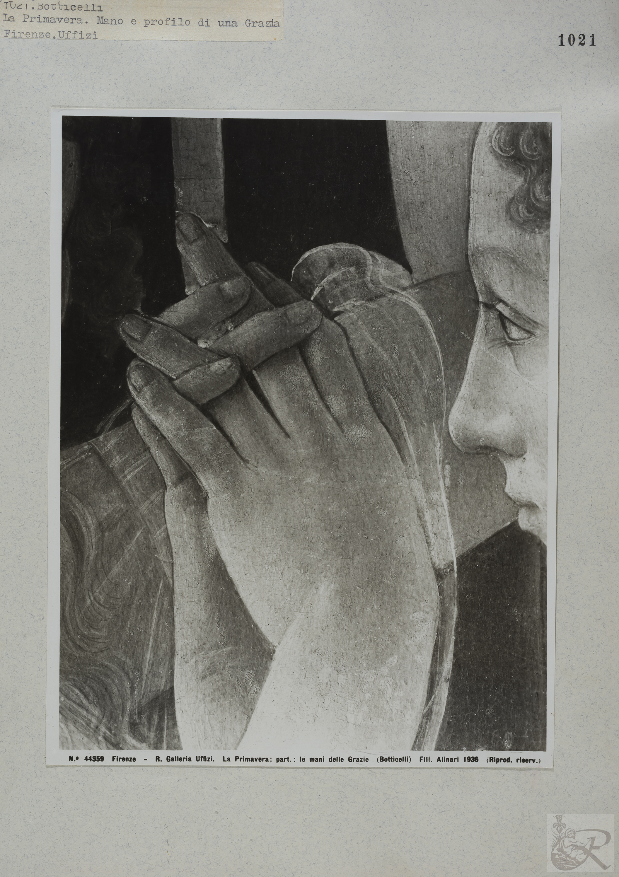 Immagine di anteprima