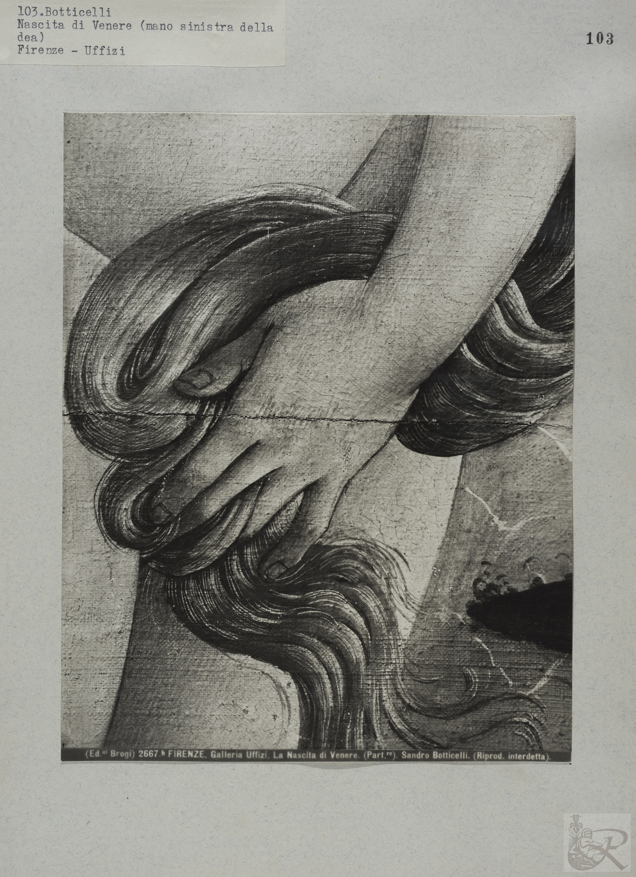 Immagine di anteprima