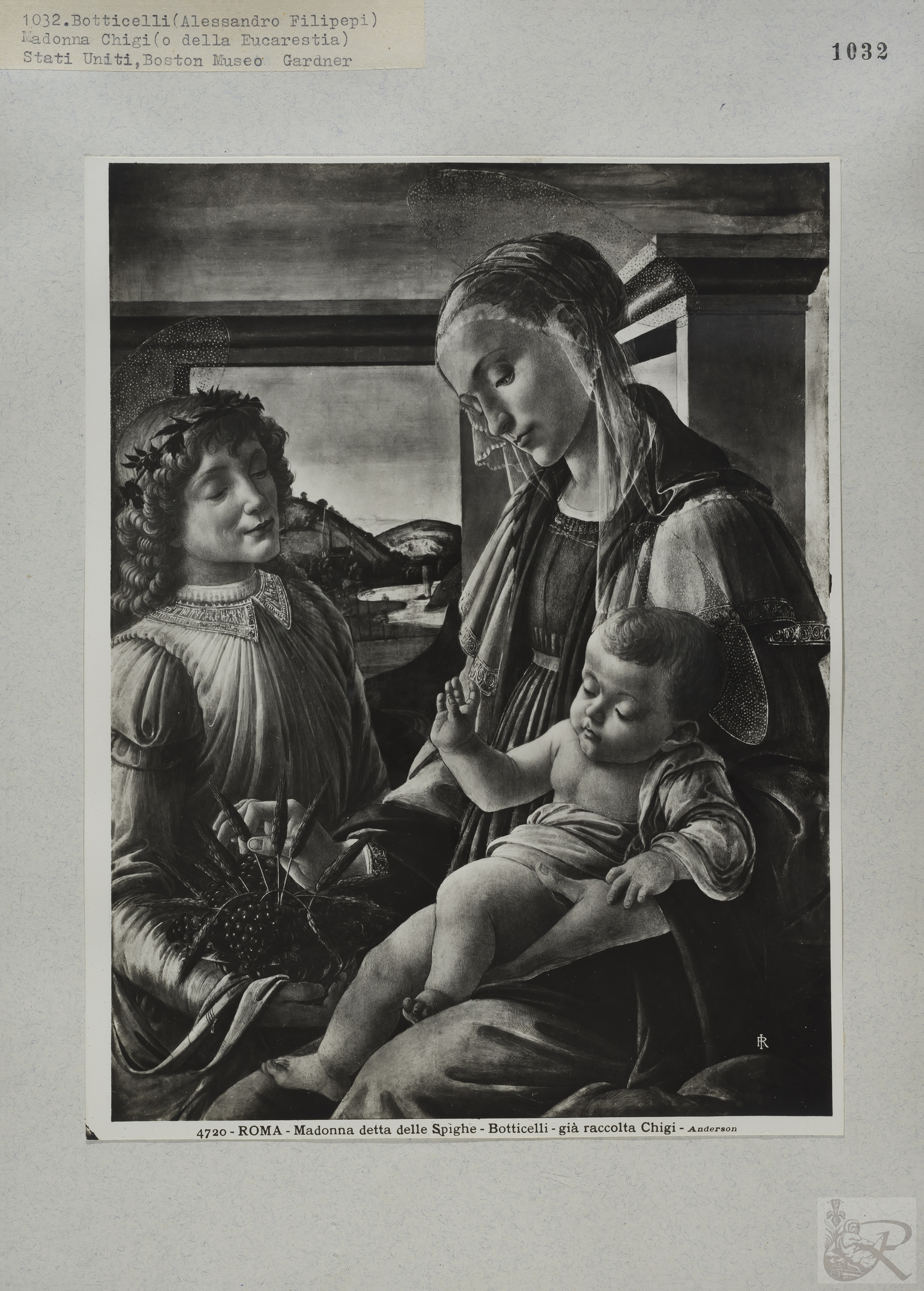 Immagine di anteprima