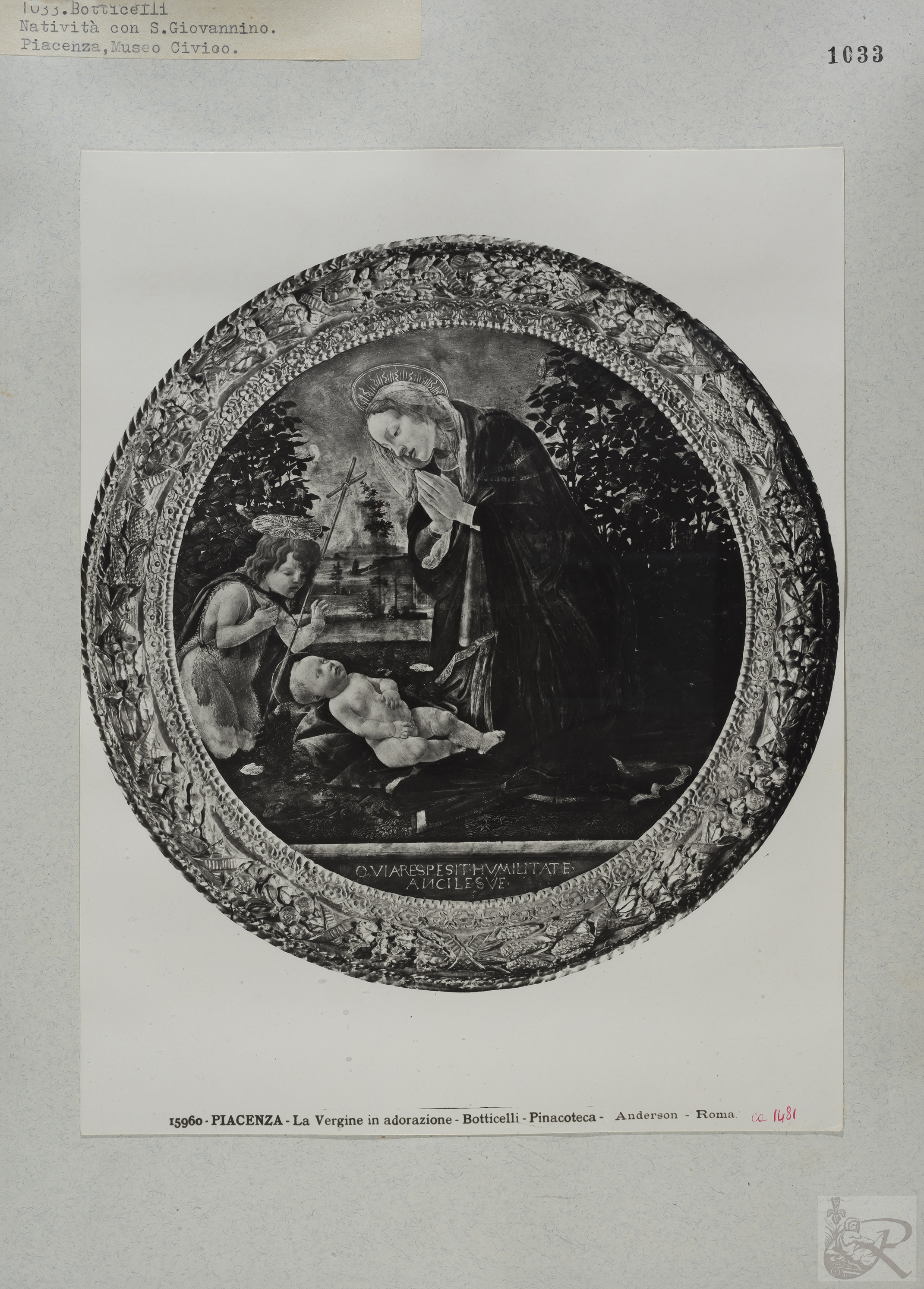 Immagine di anteprima