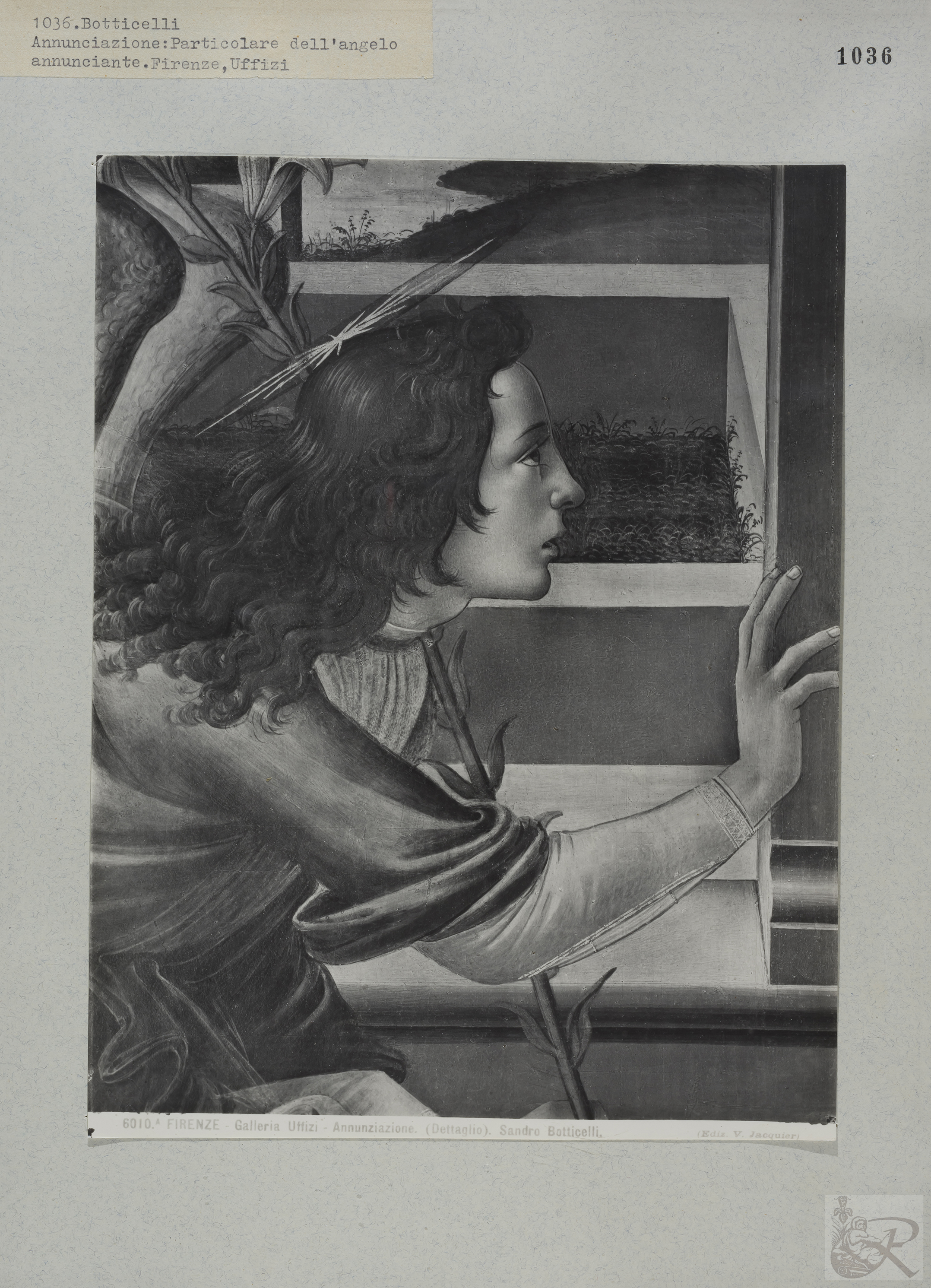 Immagine di anteprima