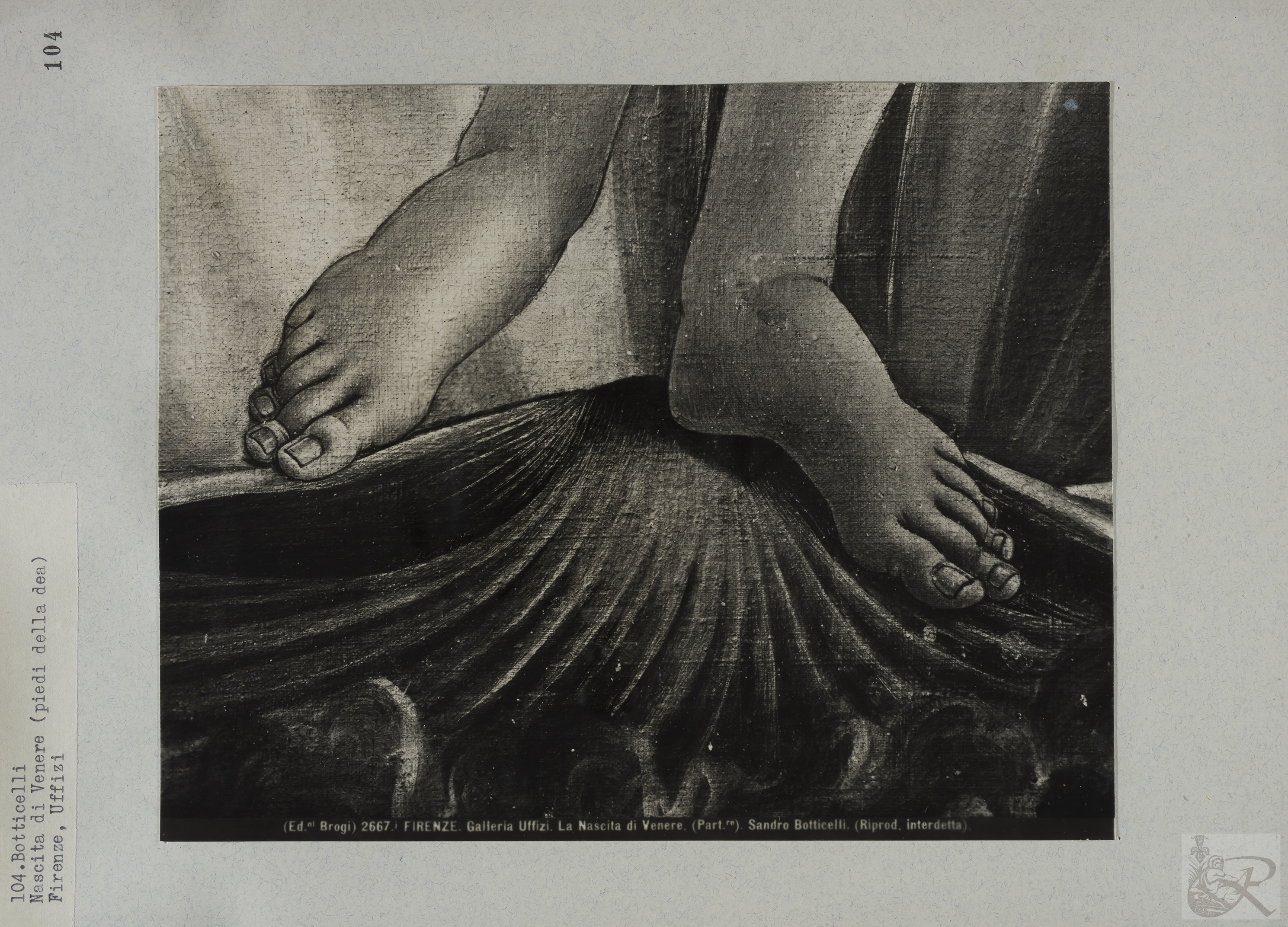 Immagine di anteprima