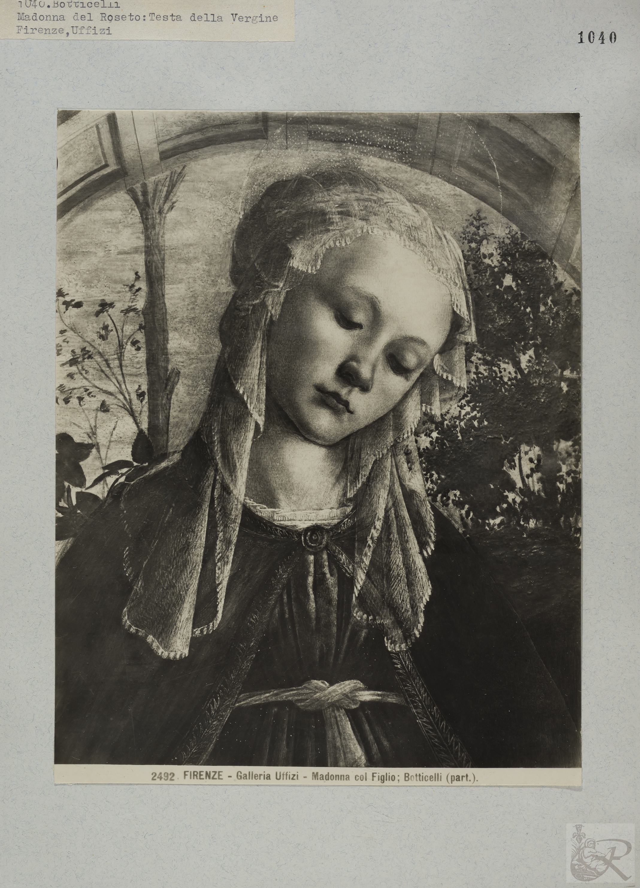 Immagine di anteprima