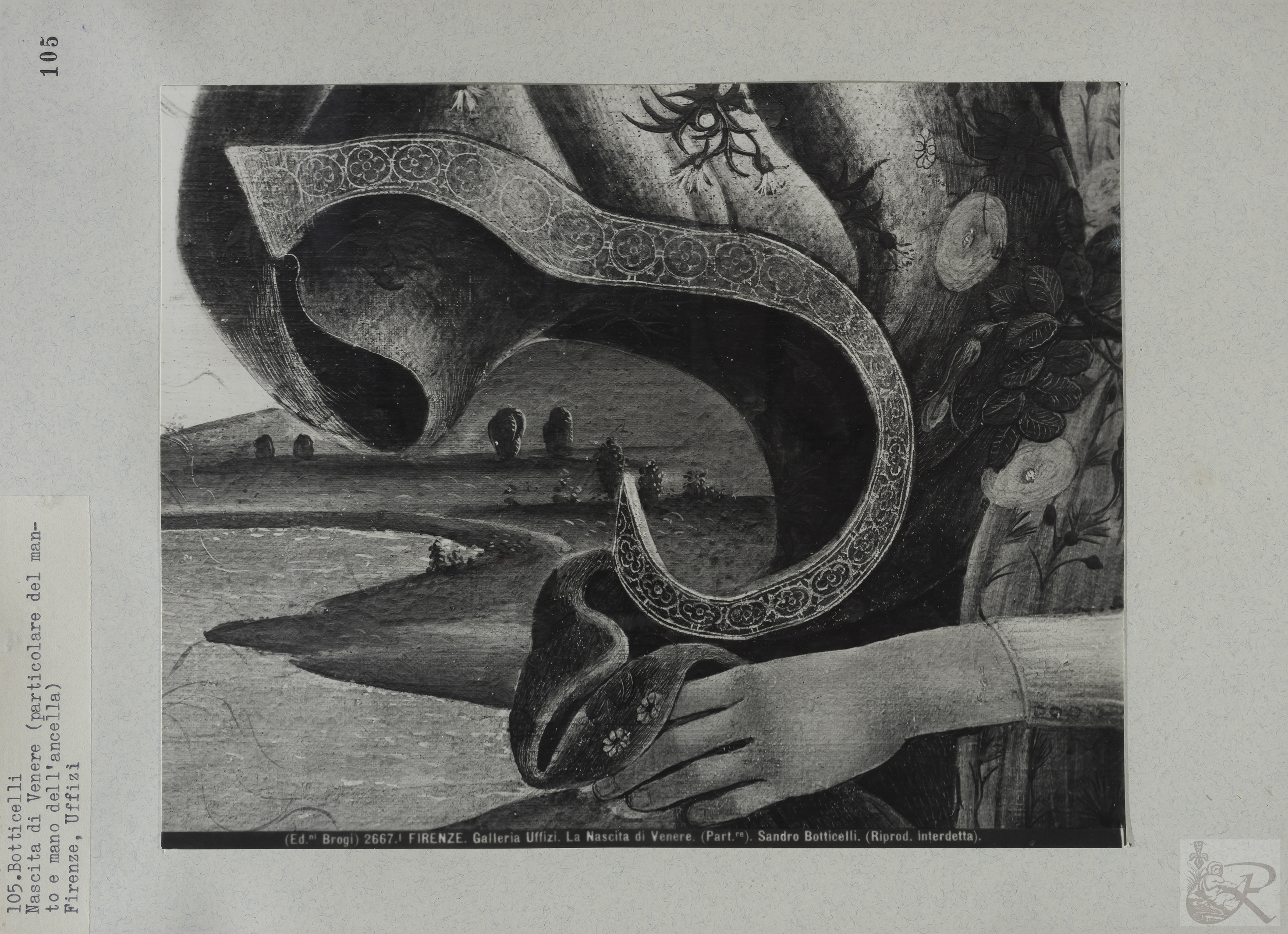 Immagine di anteprima