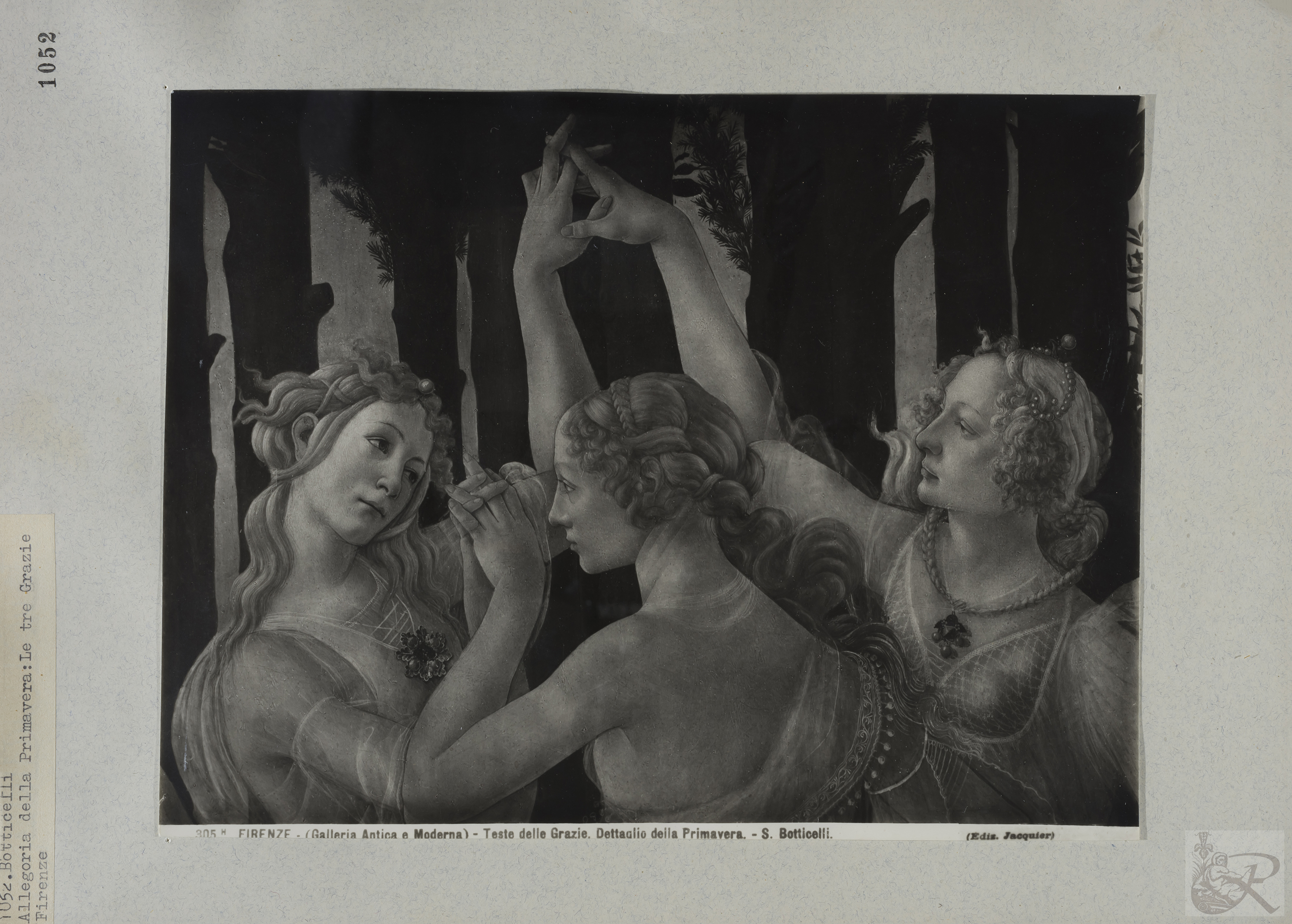 Immagine di anteprima