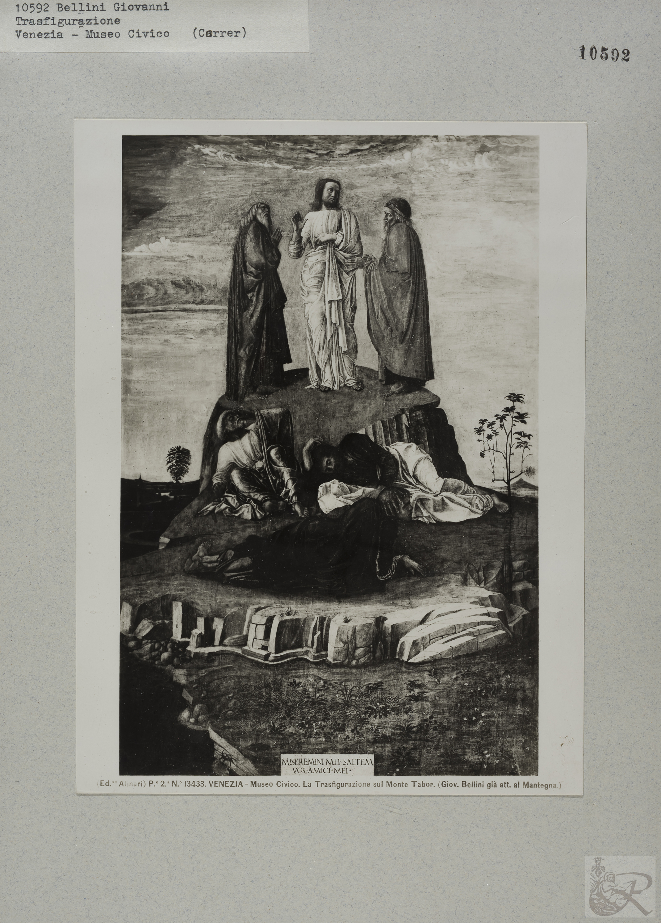 Immagine di anteprima