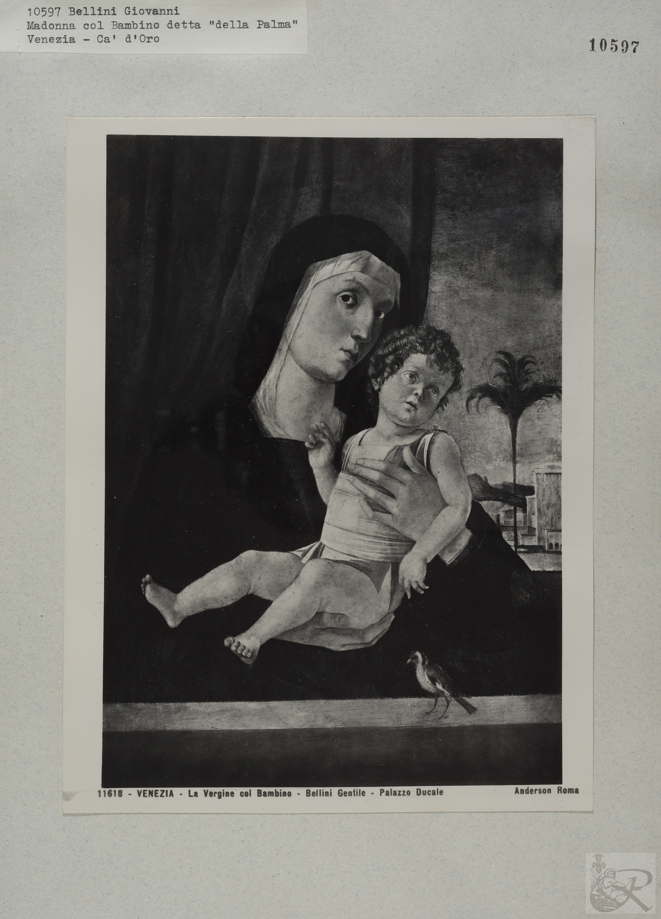 Immagine di anteprima