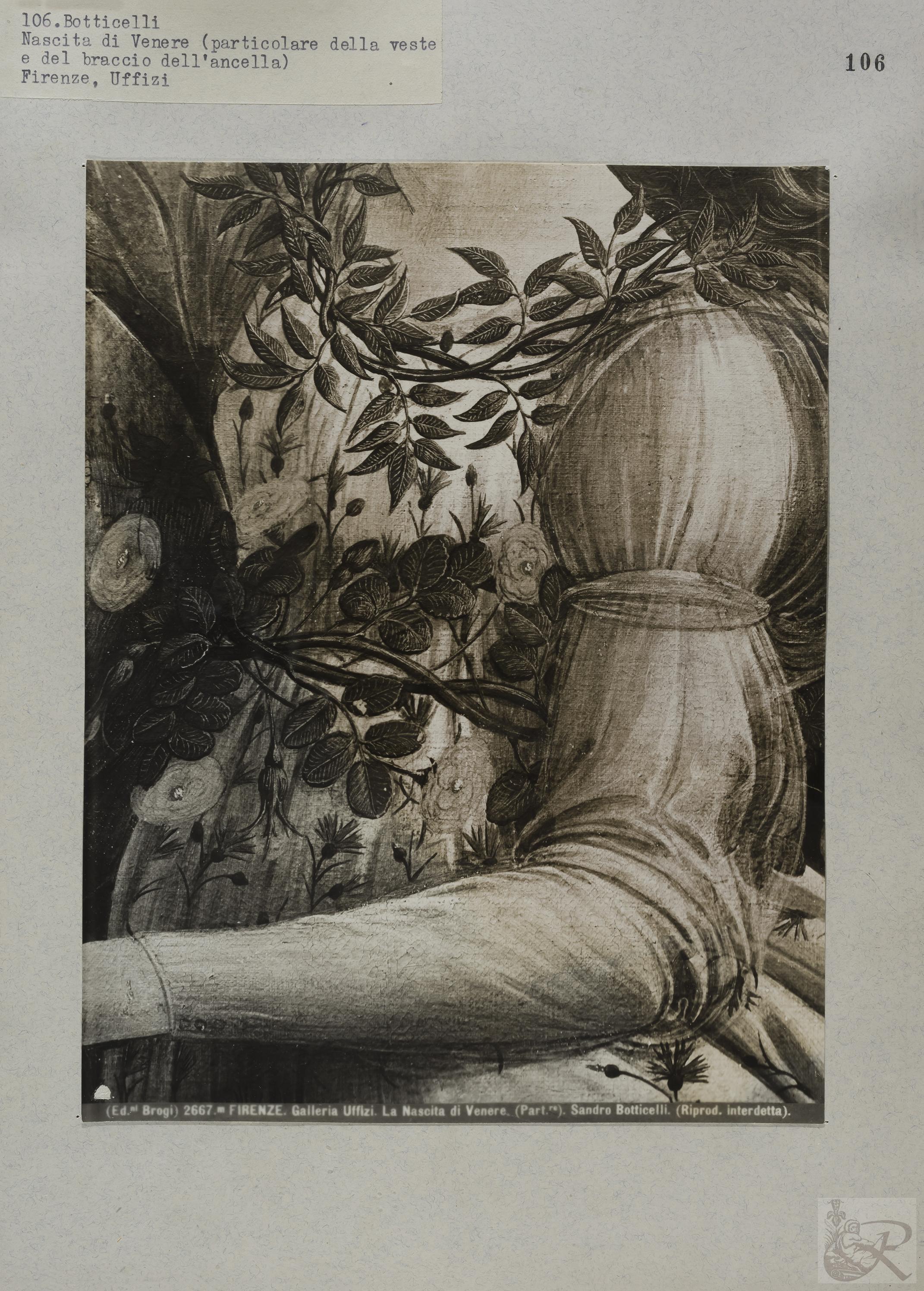 Immagine di anteprima