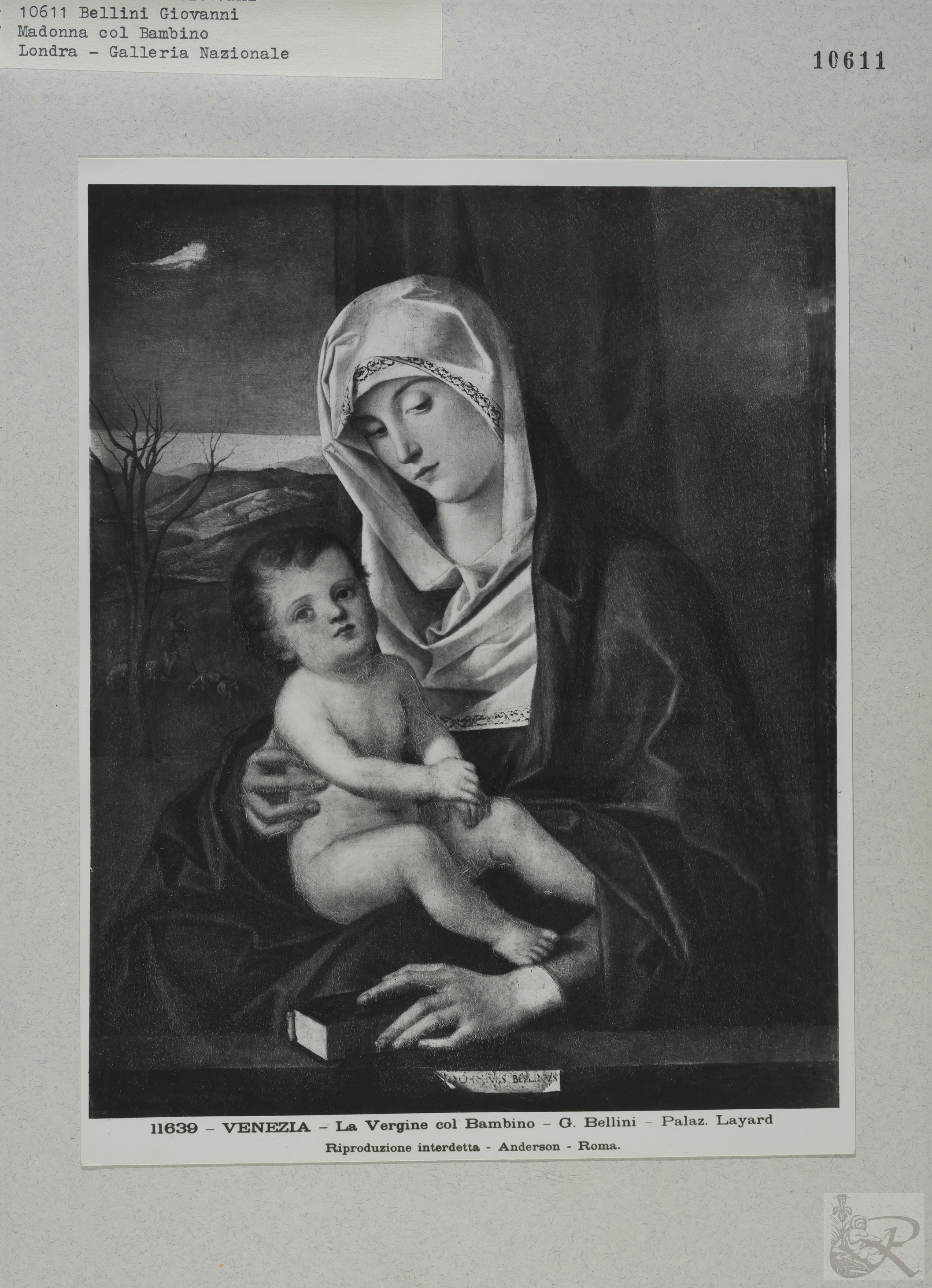 Immagine di anteprima