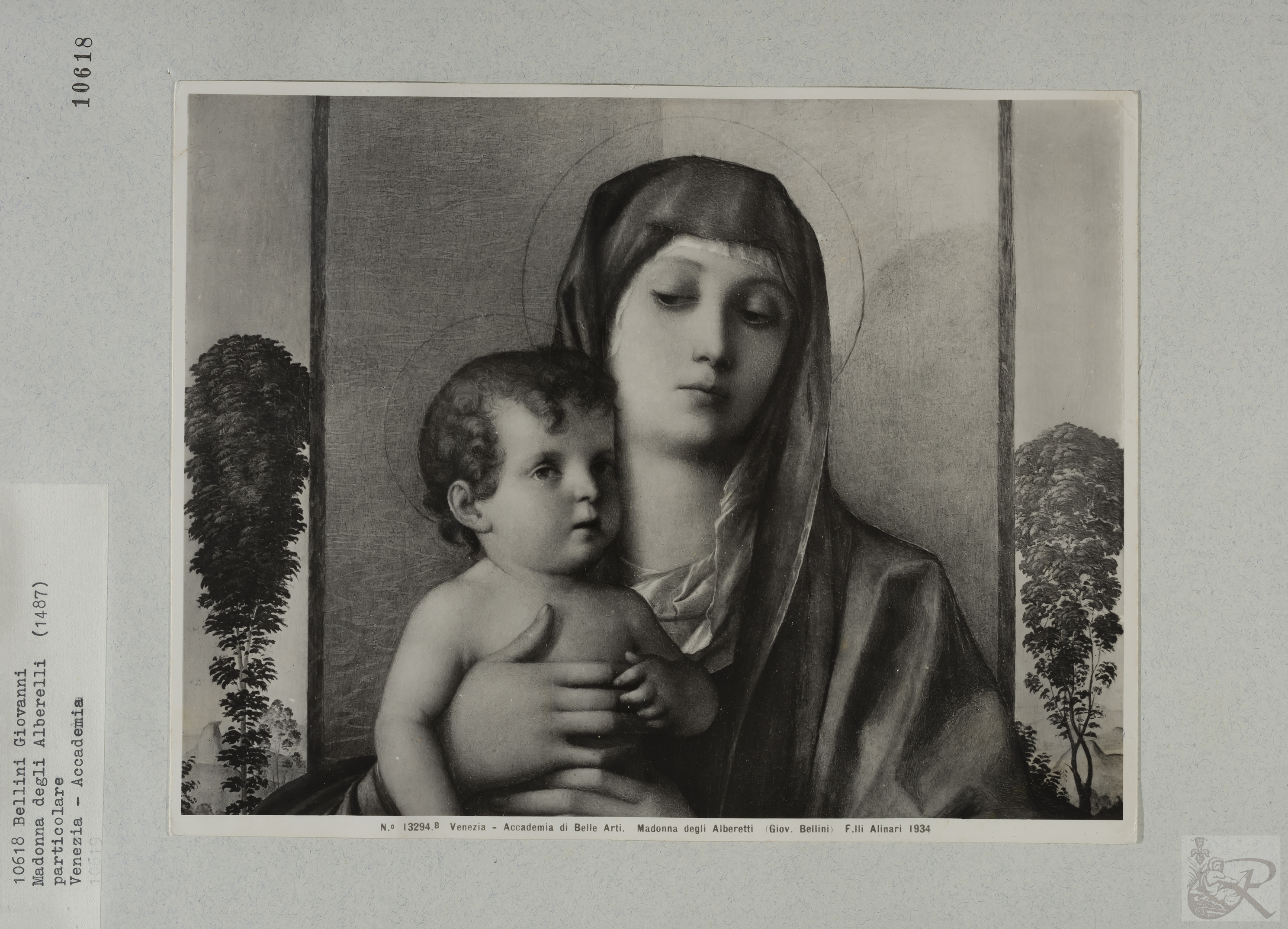 Immagine di anteprima