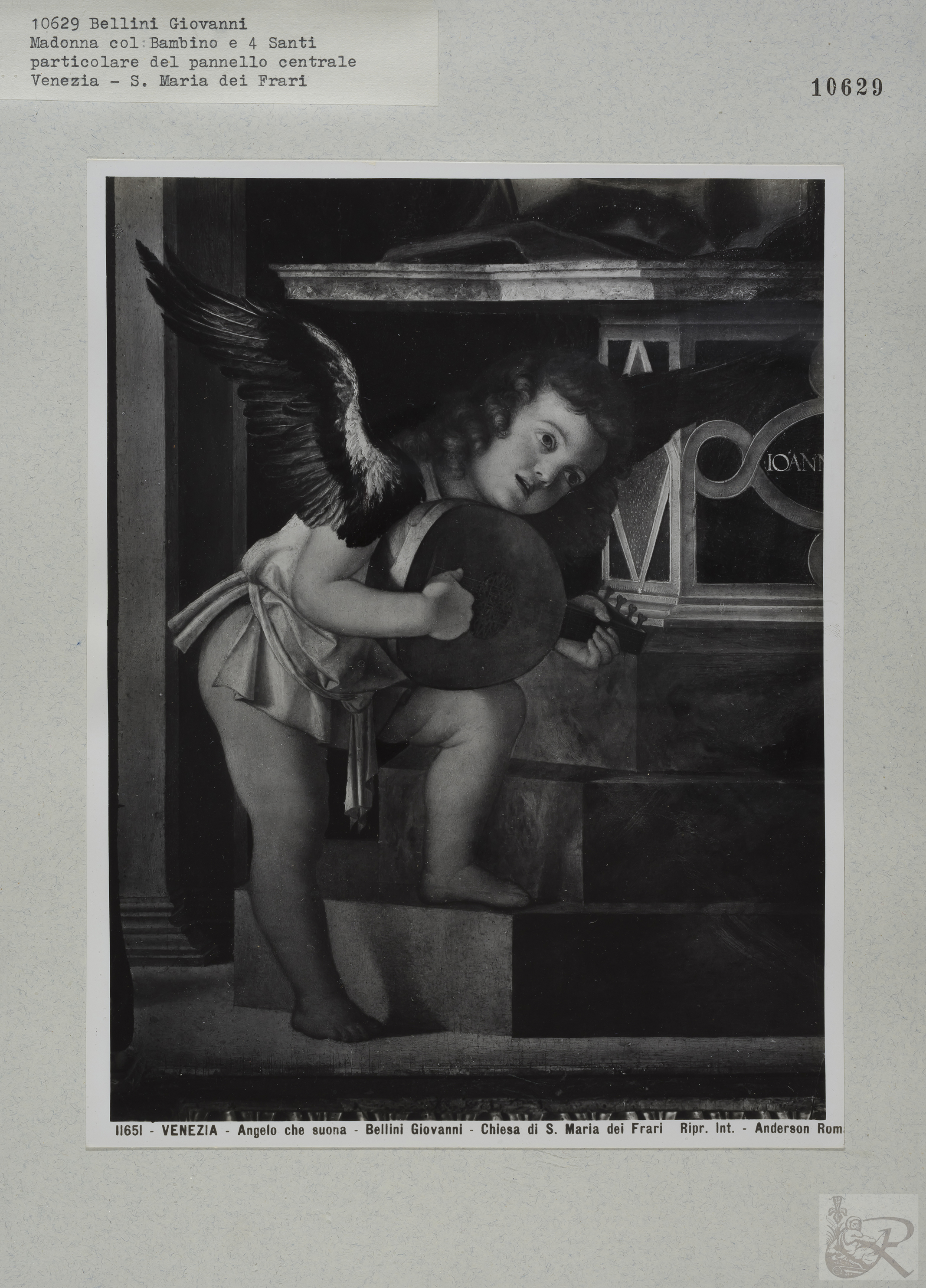 Immagine di anteprima