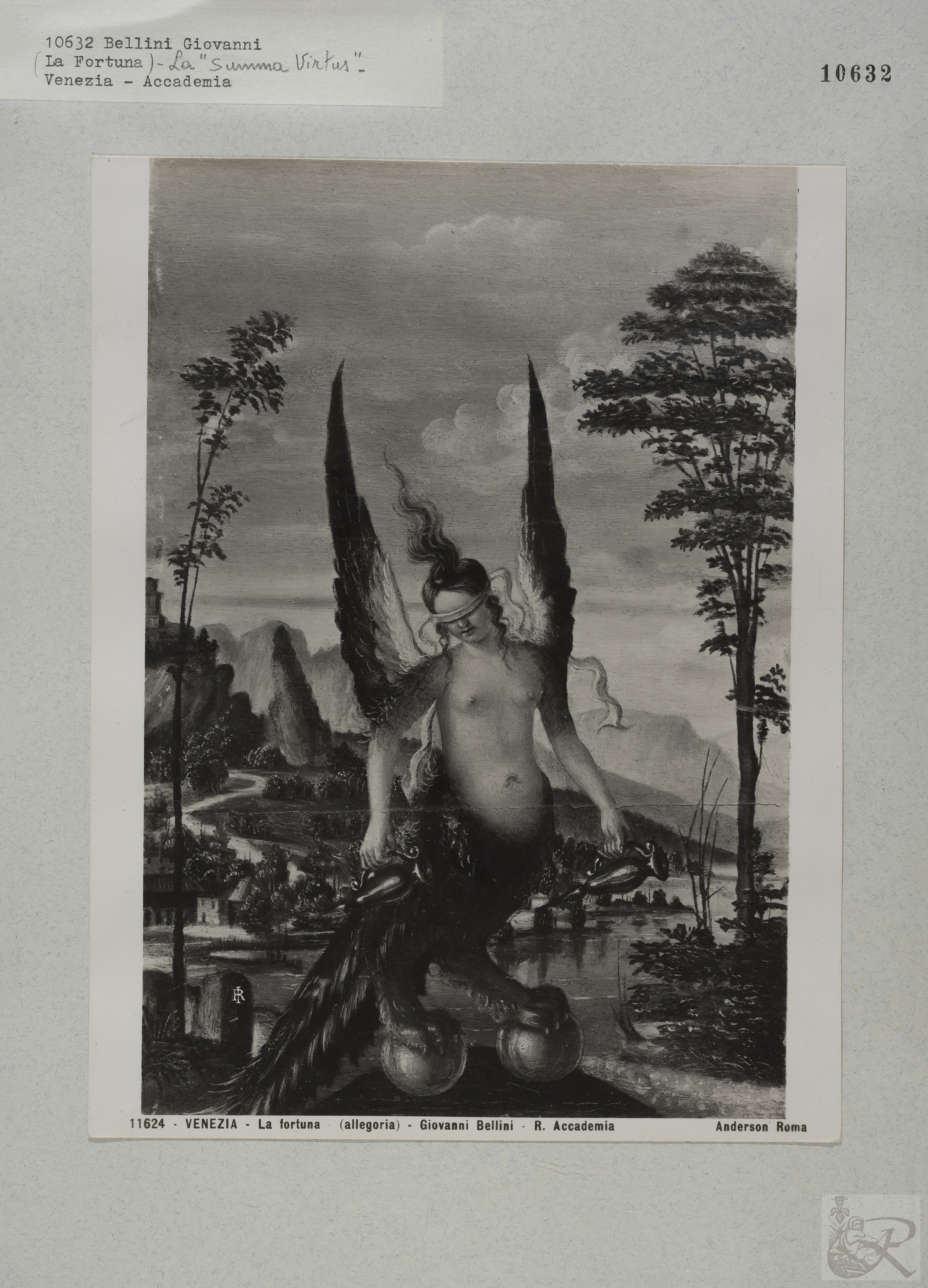 Immagine di anteprima