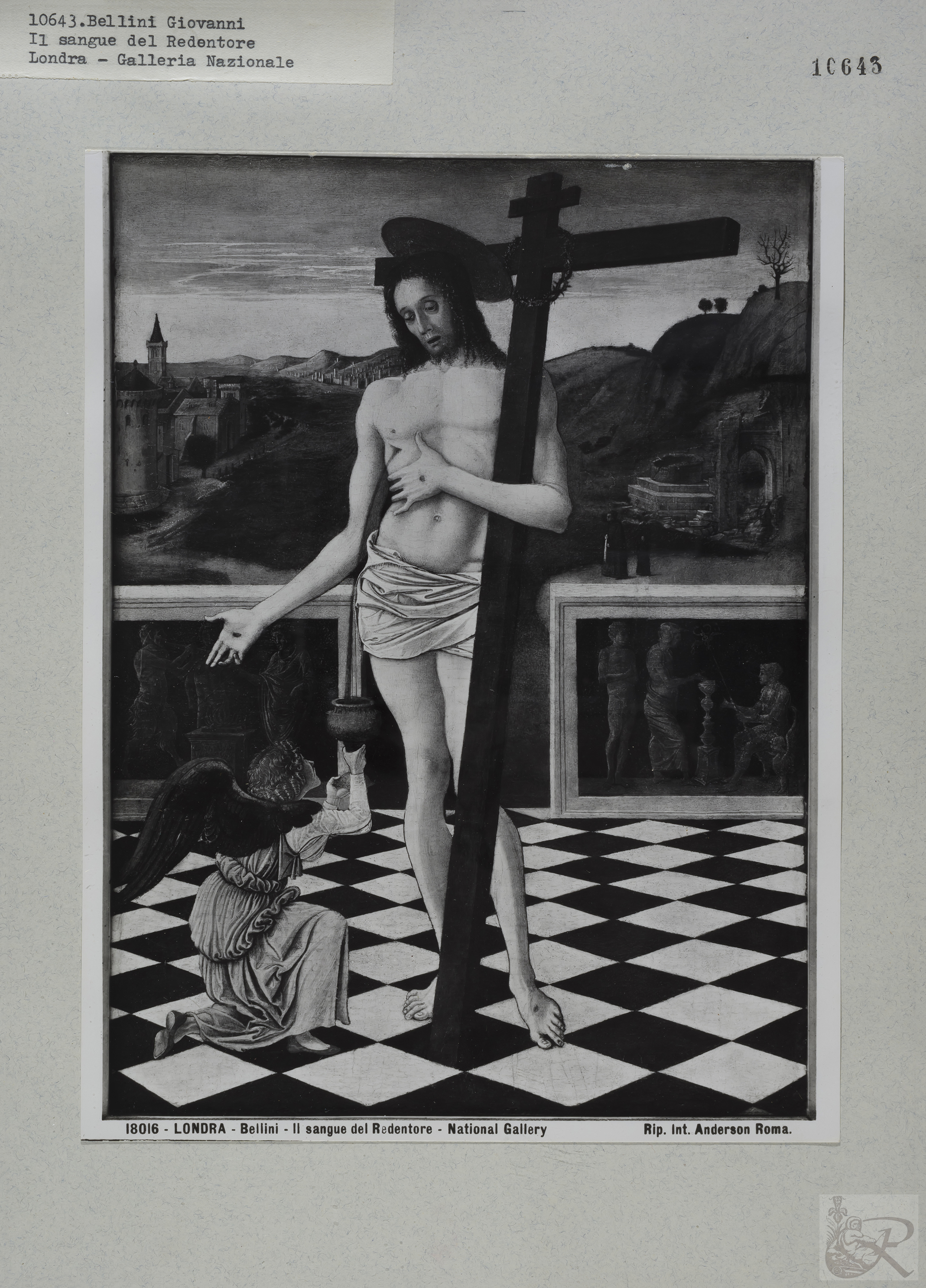 Immagine di anteprima