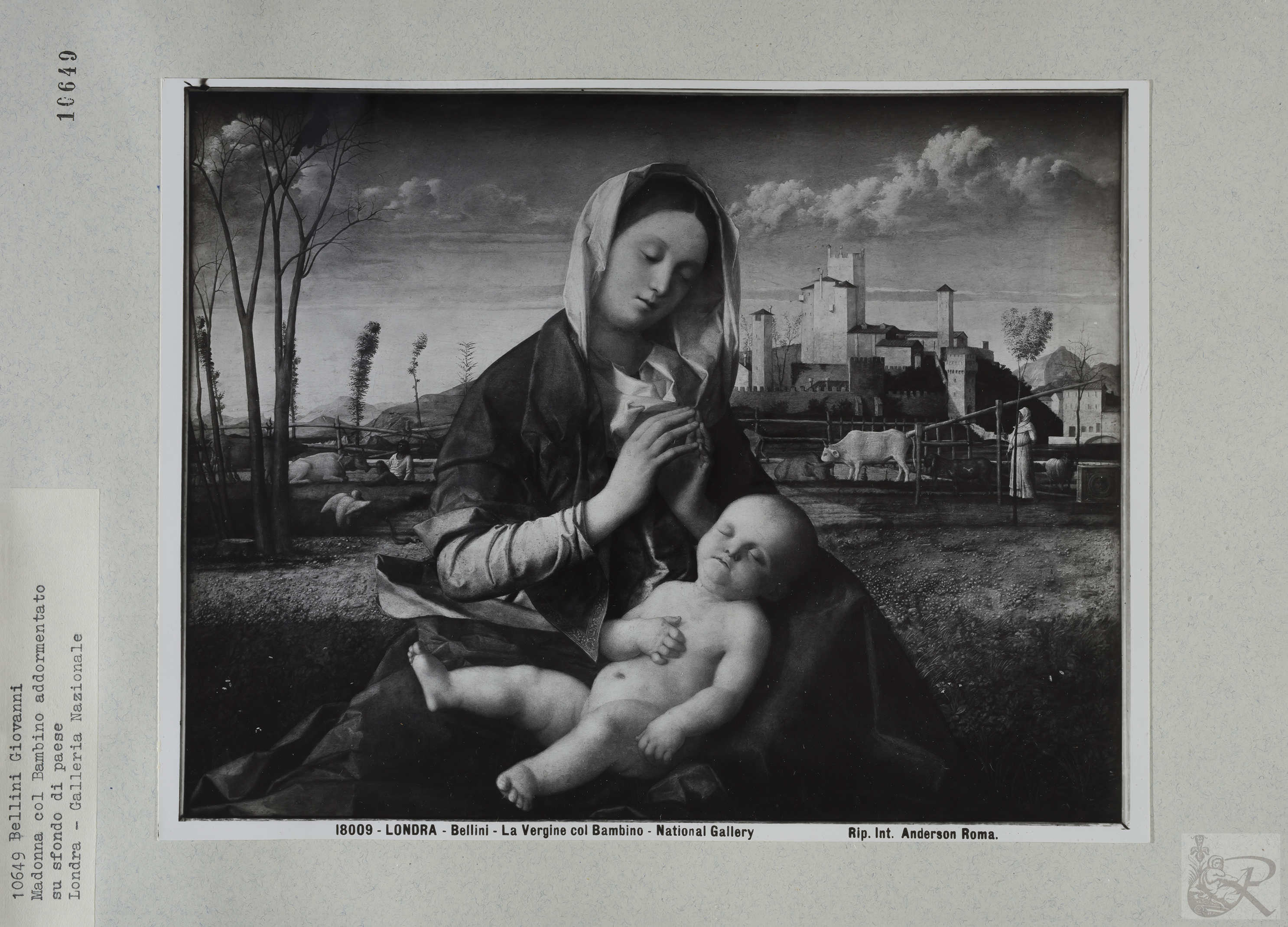 Immagine di anteprima