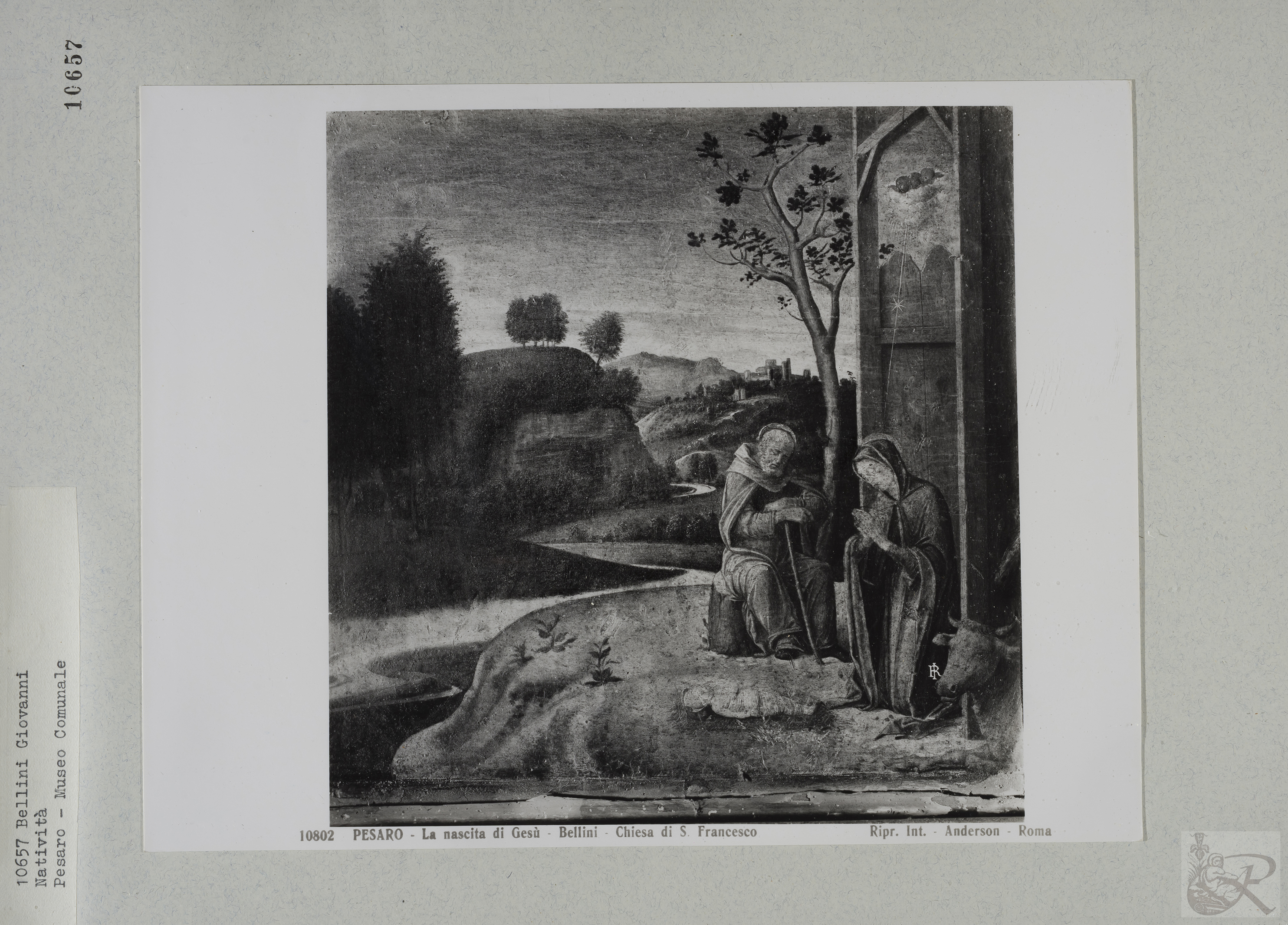 Immagine di anteprima