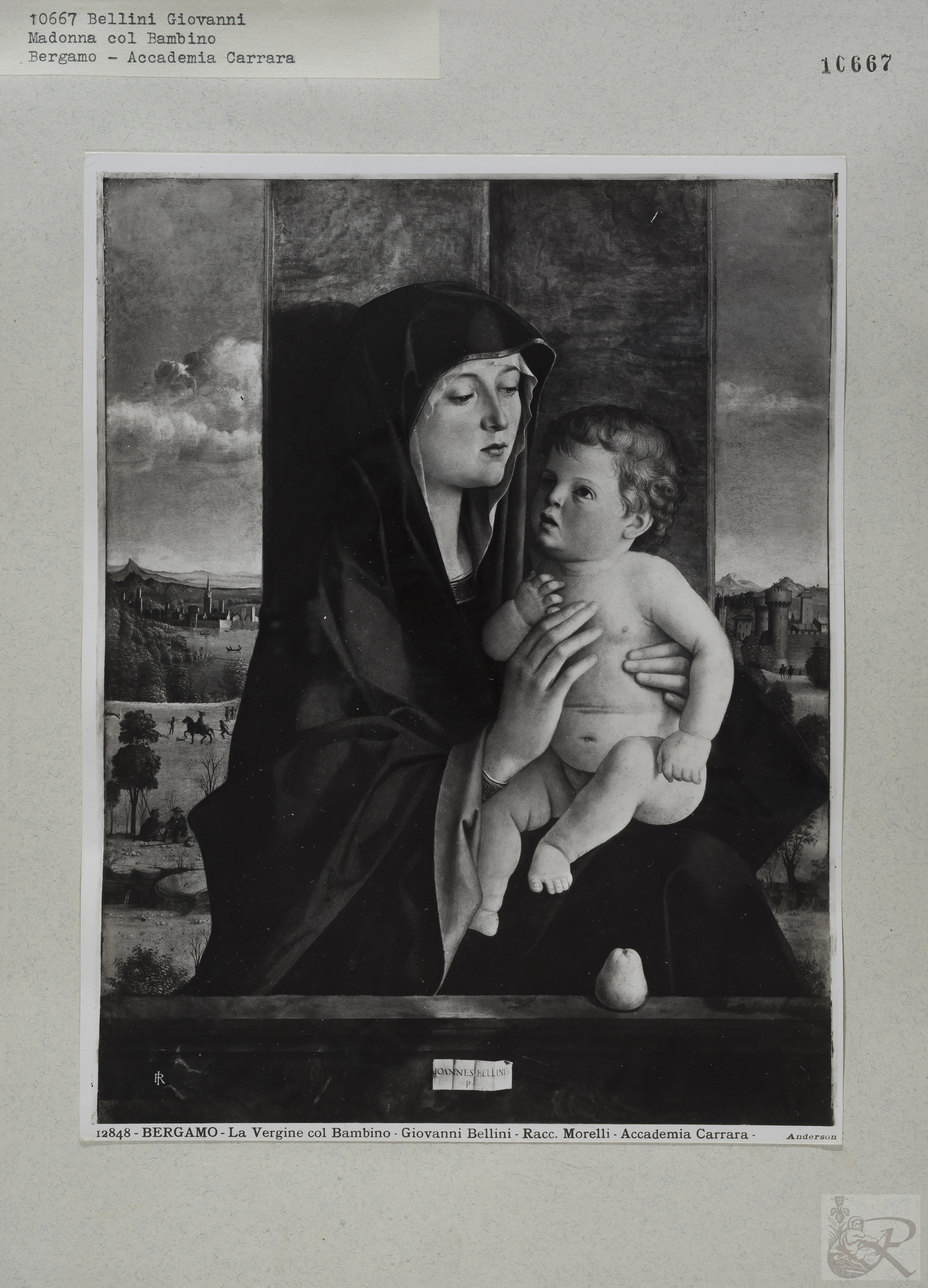 Immagine di anteprima