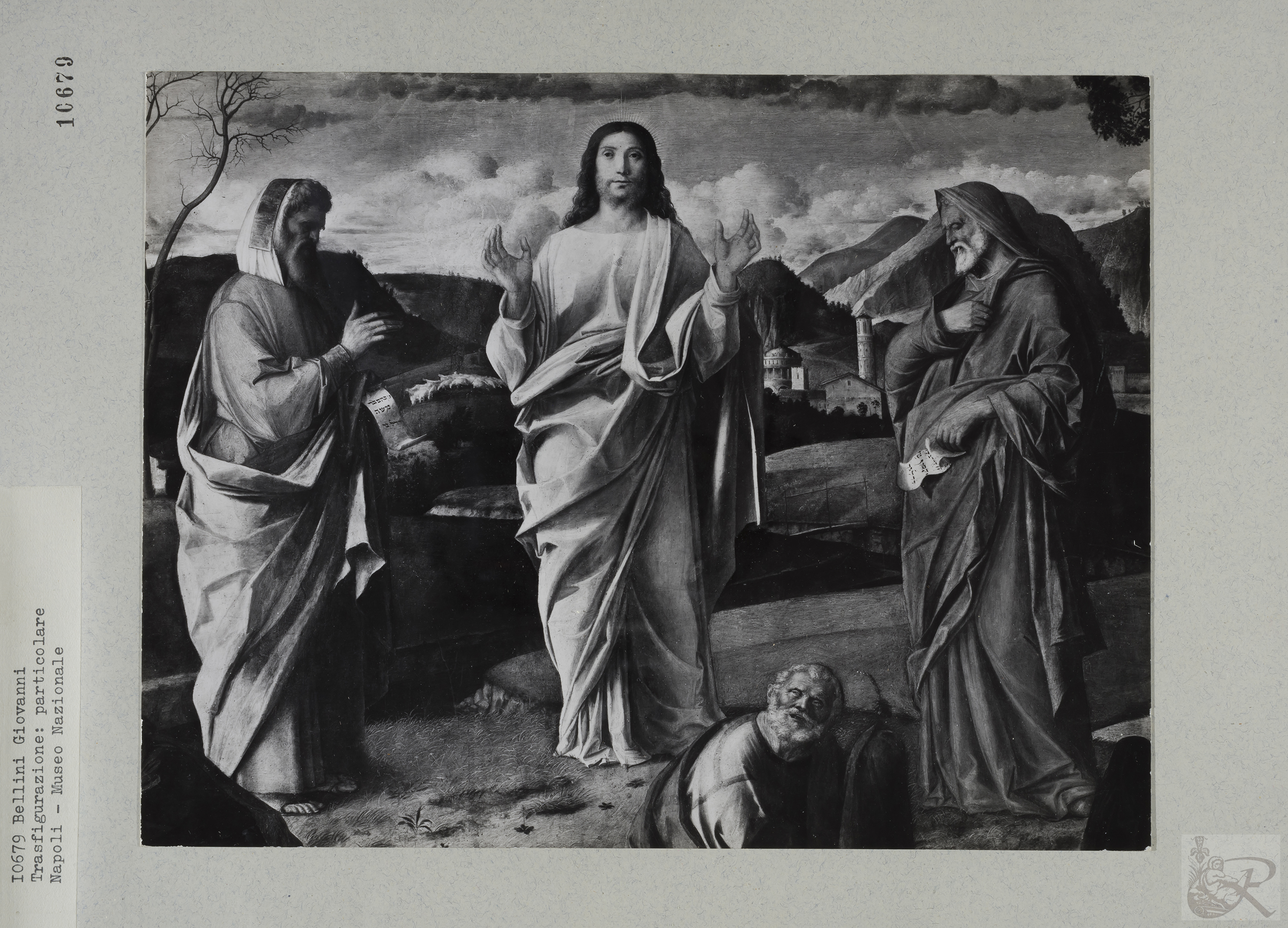 Immagine di anteprima