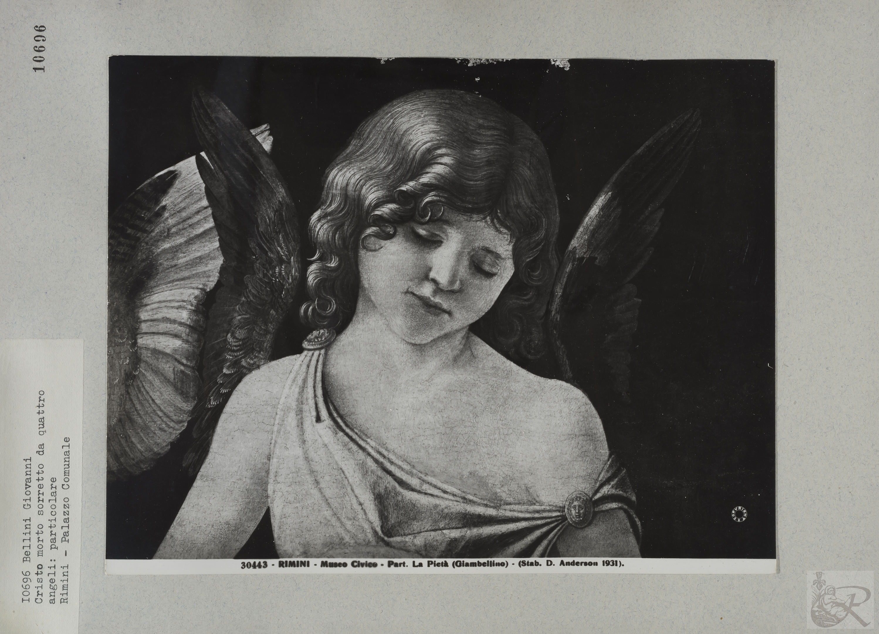 Immagine di anteprima