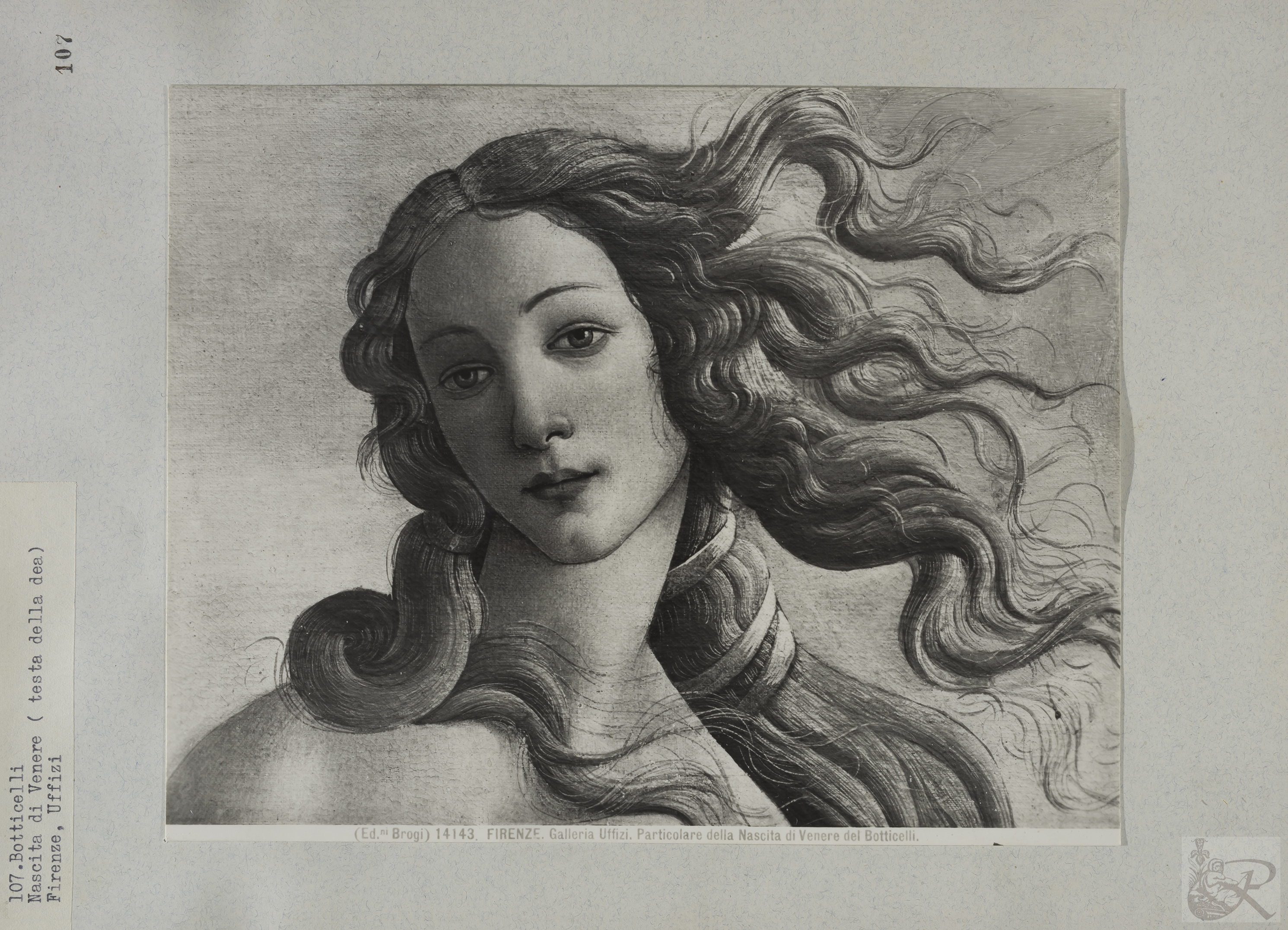 Immagine di anteprima