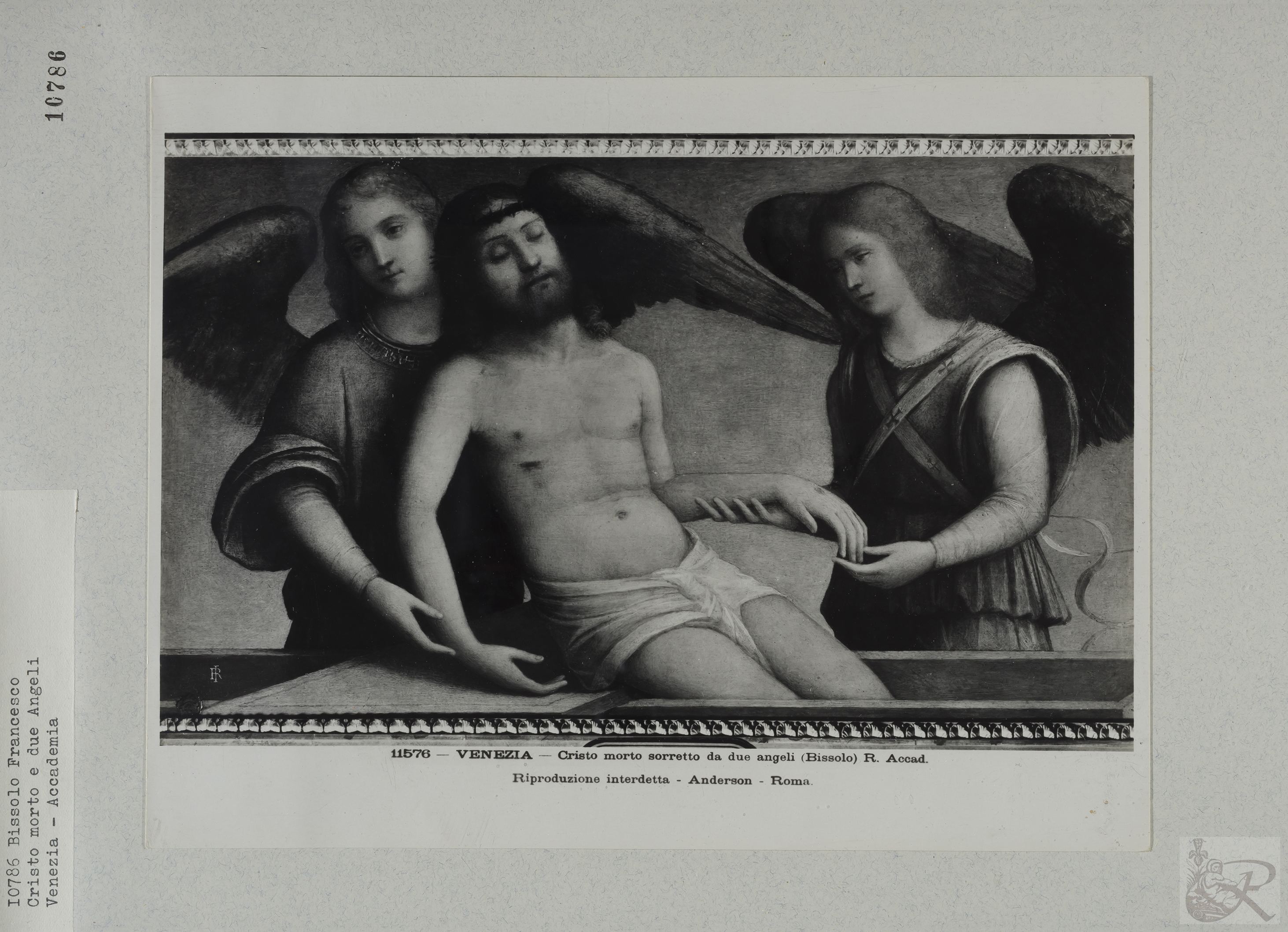 Immagine di anteprima