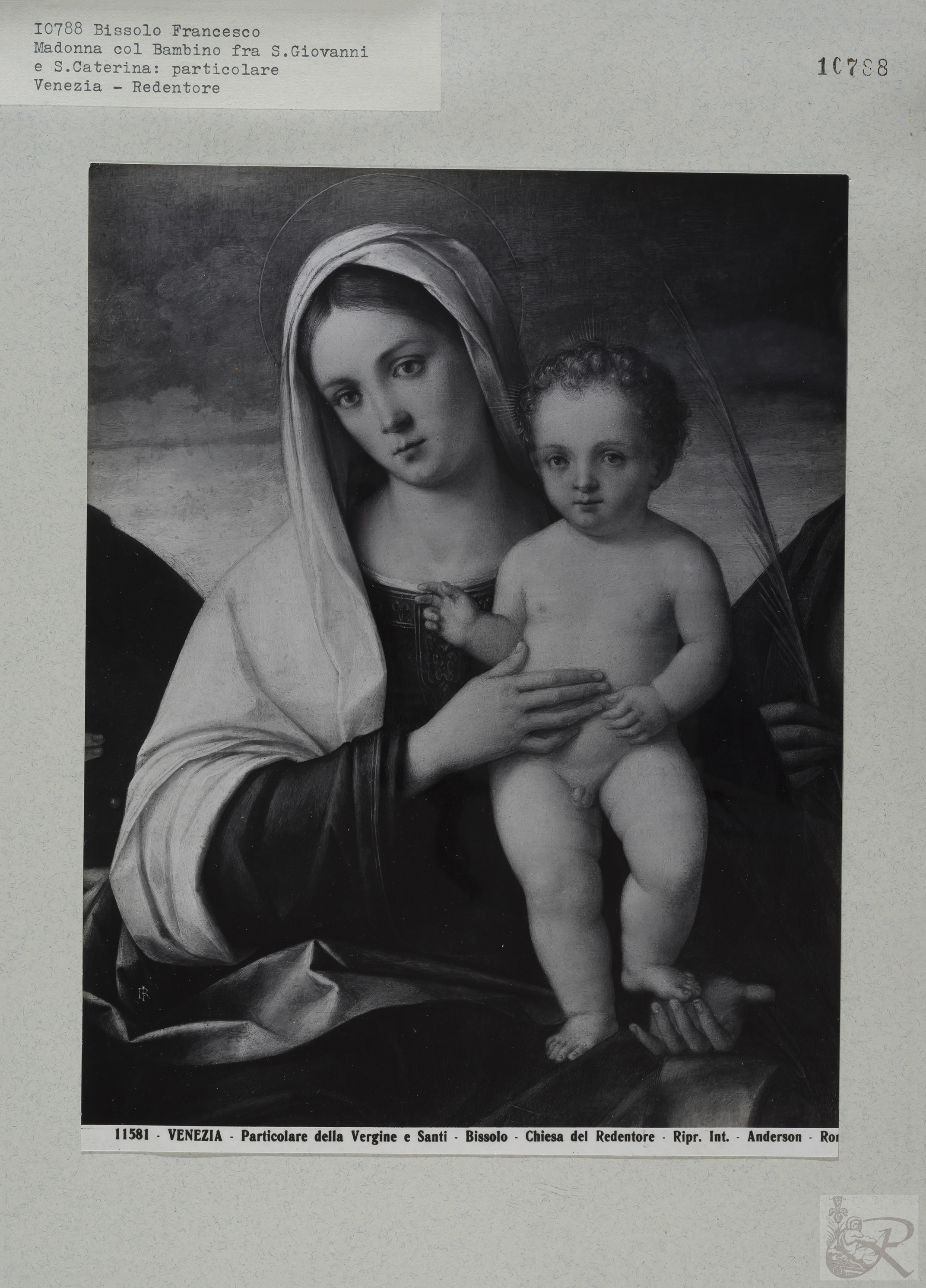 Immagine di anteprima