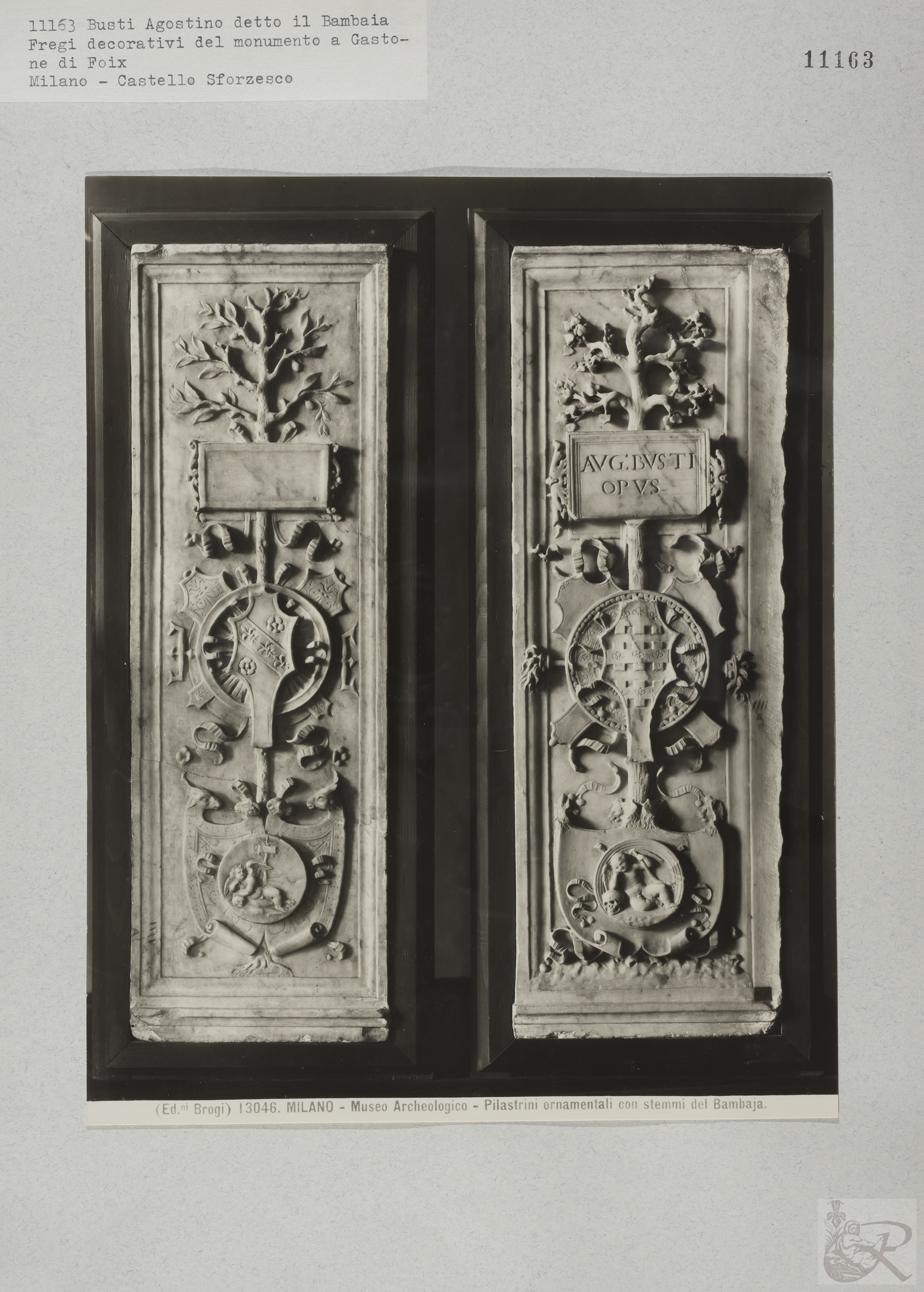 Immagine di anteprima