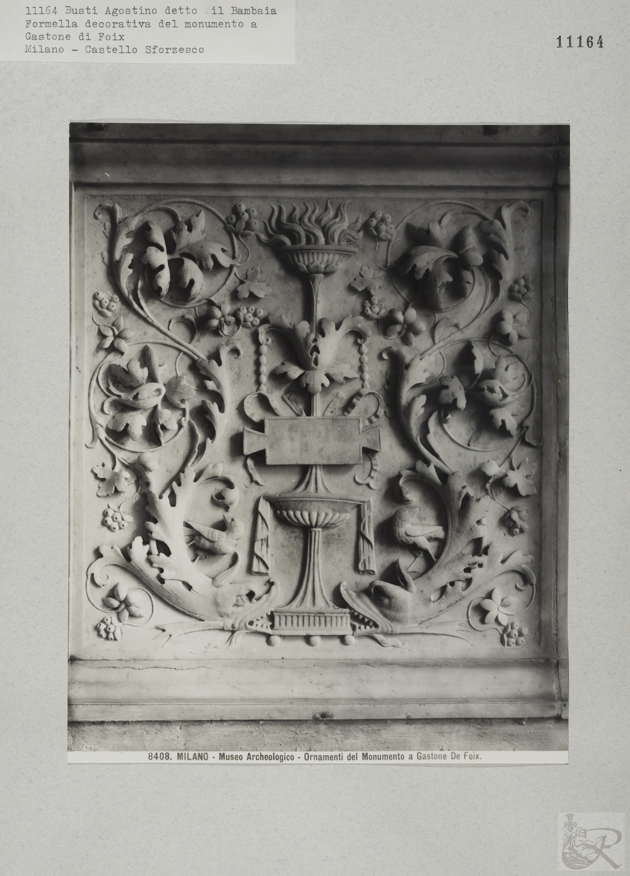 Immagine di anteprima