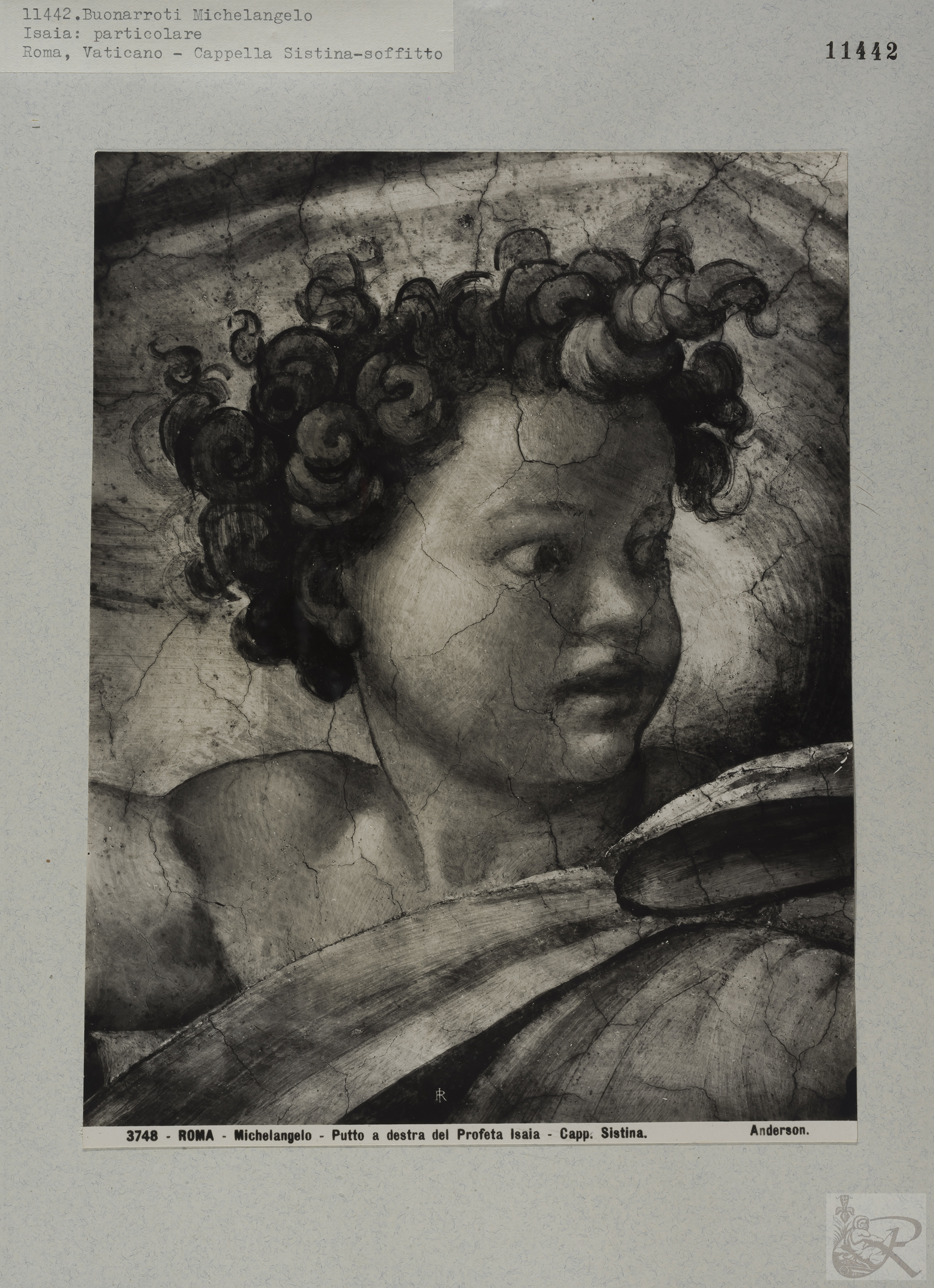 Immagine di anteprima