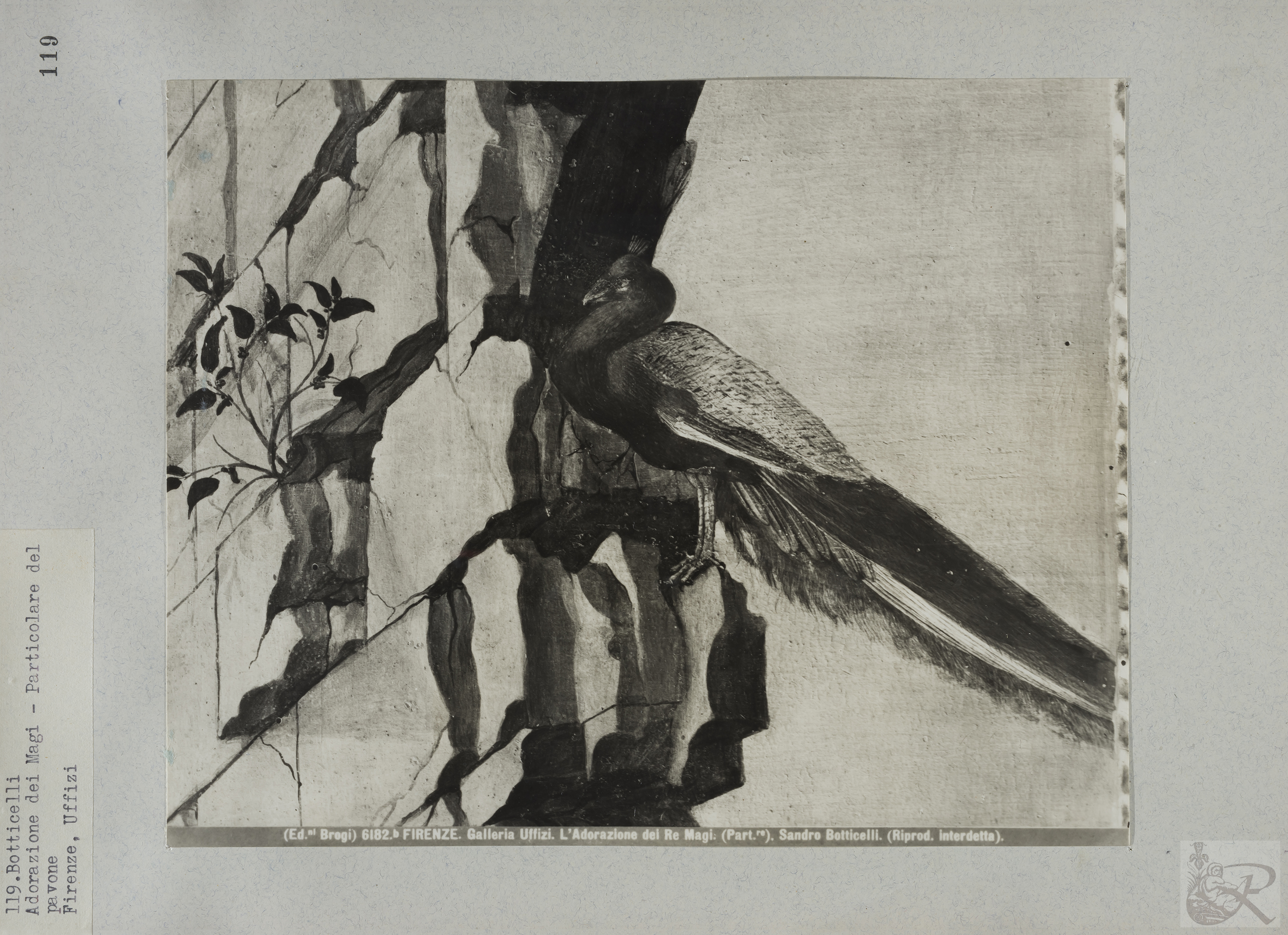 Immagine di anteprima