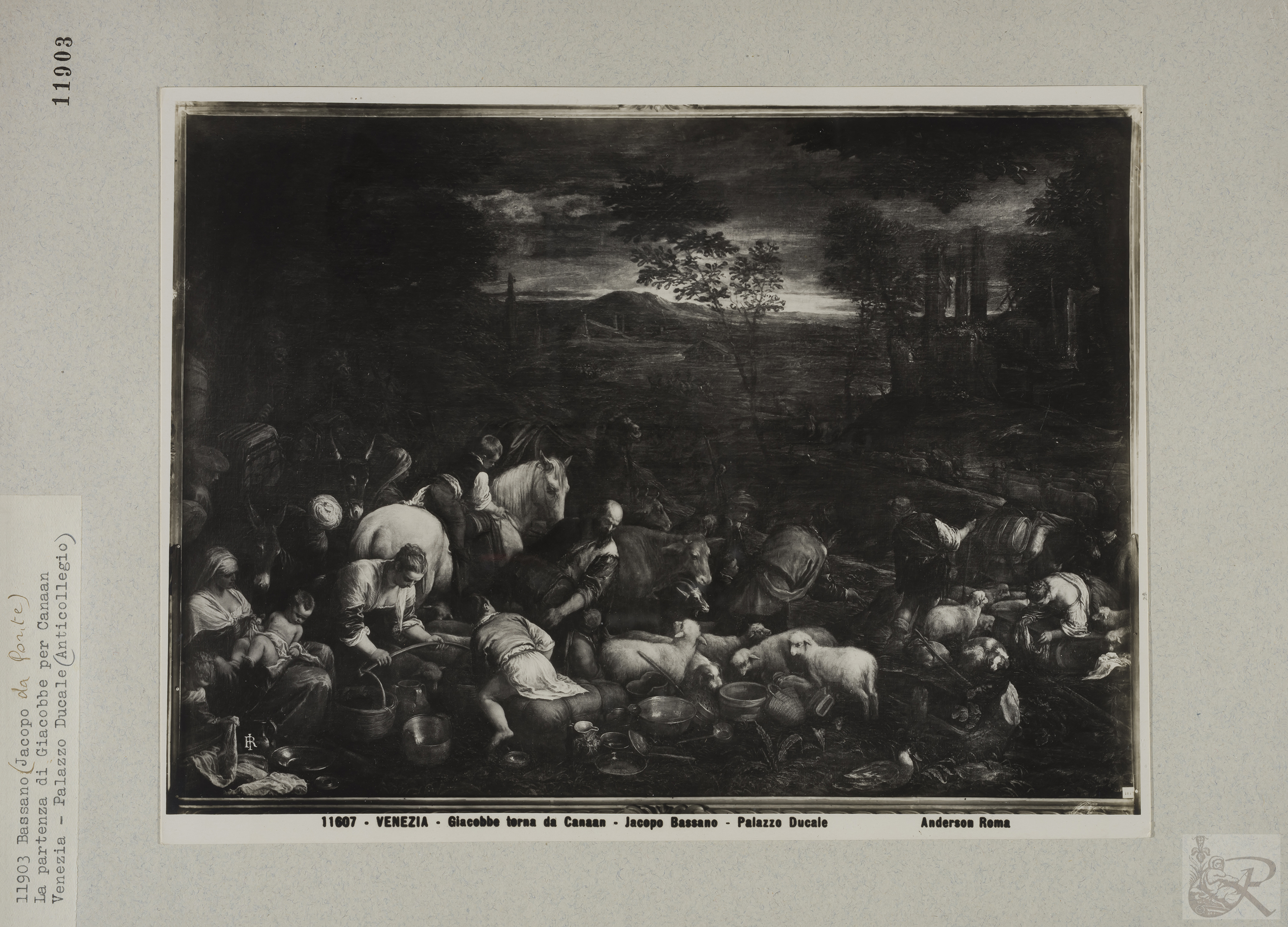 Immagine di anteprima