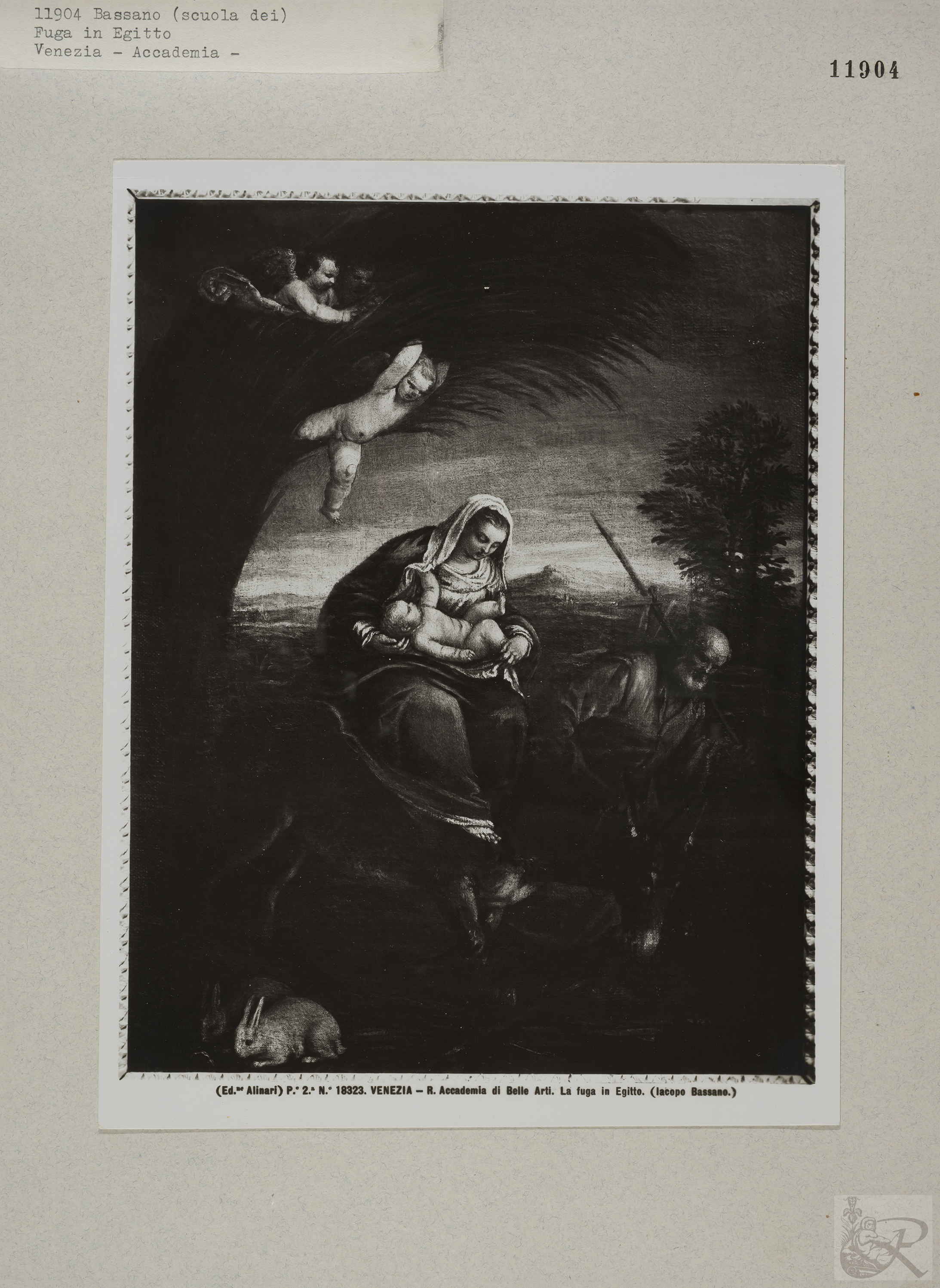 Immagine di anteprima