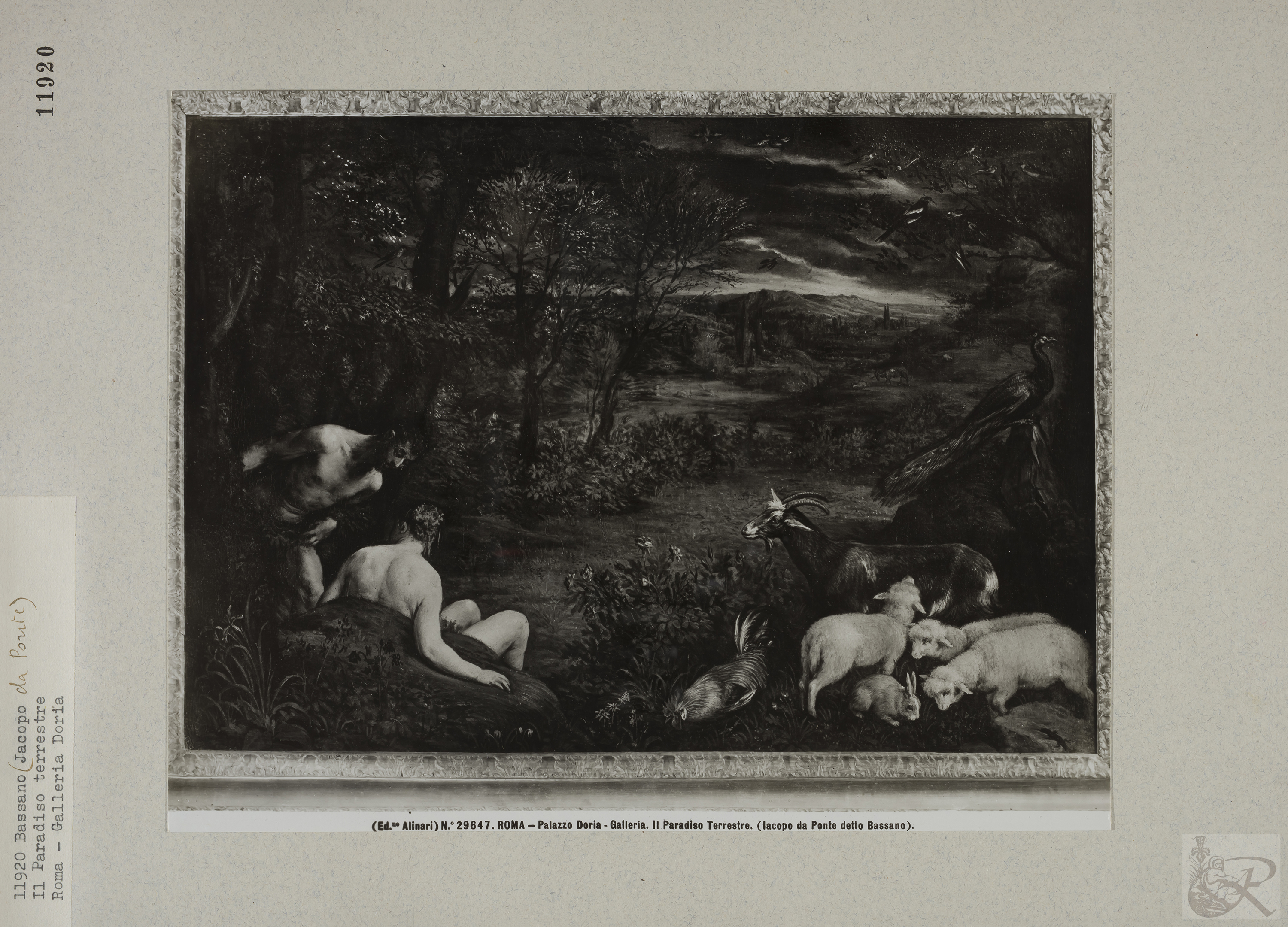 Immagine di anteprima