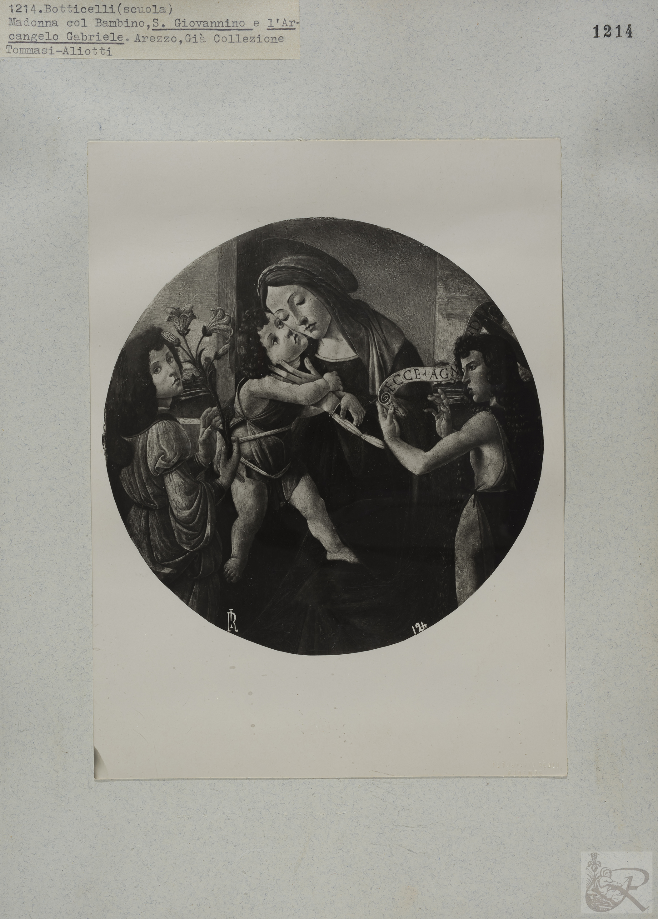 Immagine di anteprima