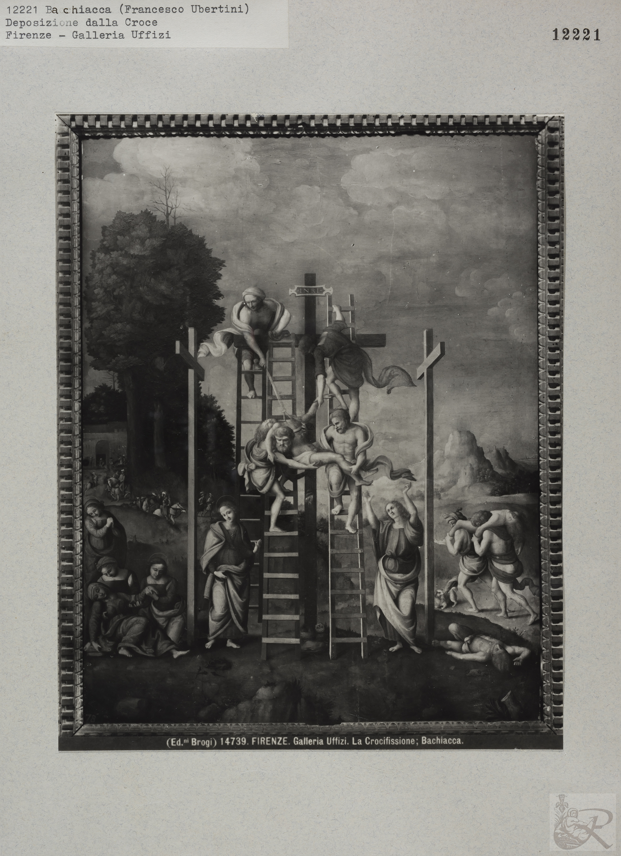 Immagine di anteprima