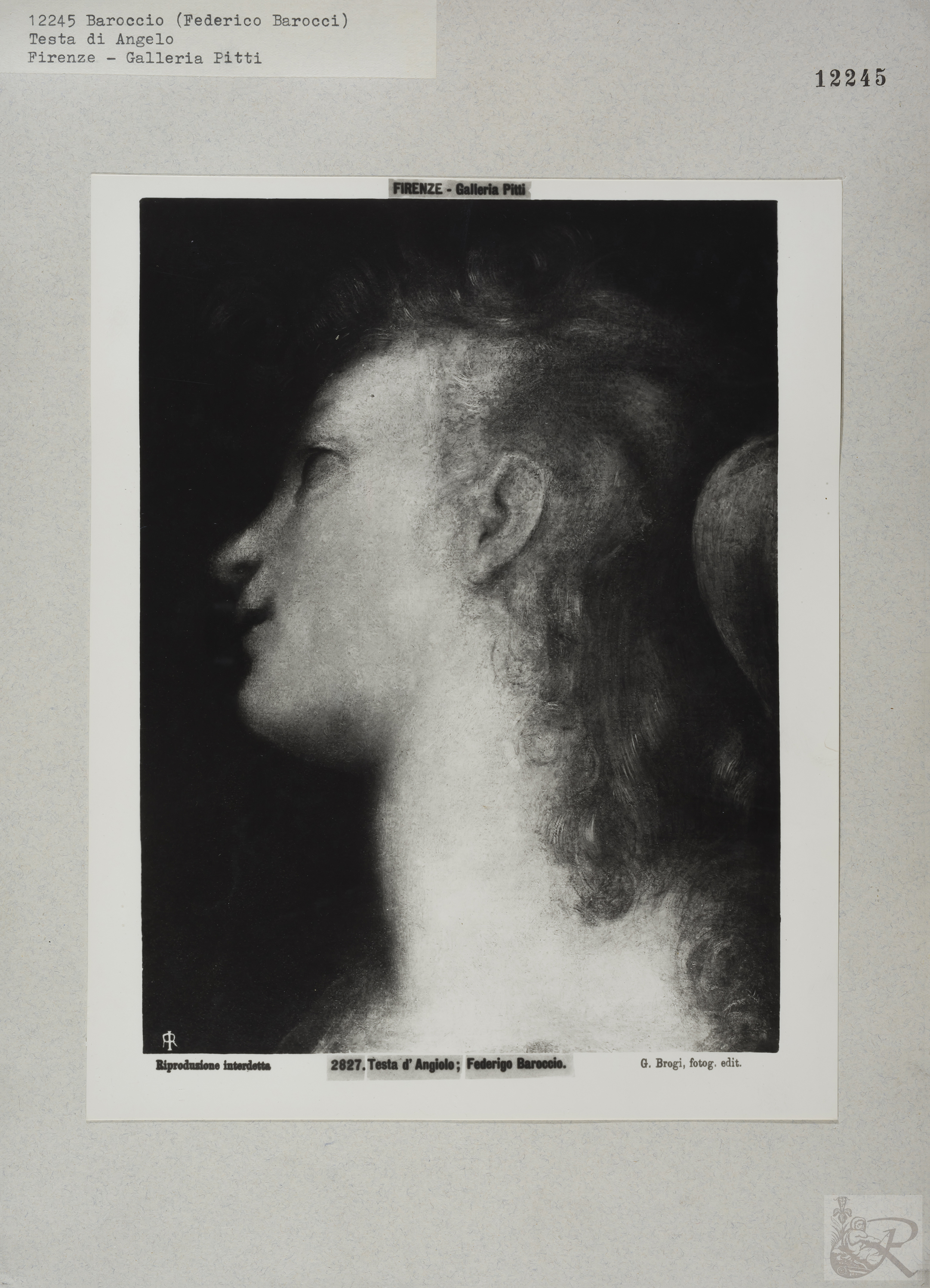 Immagine di anteprima