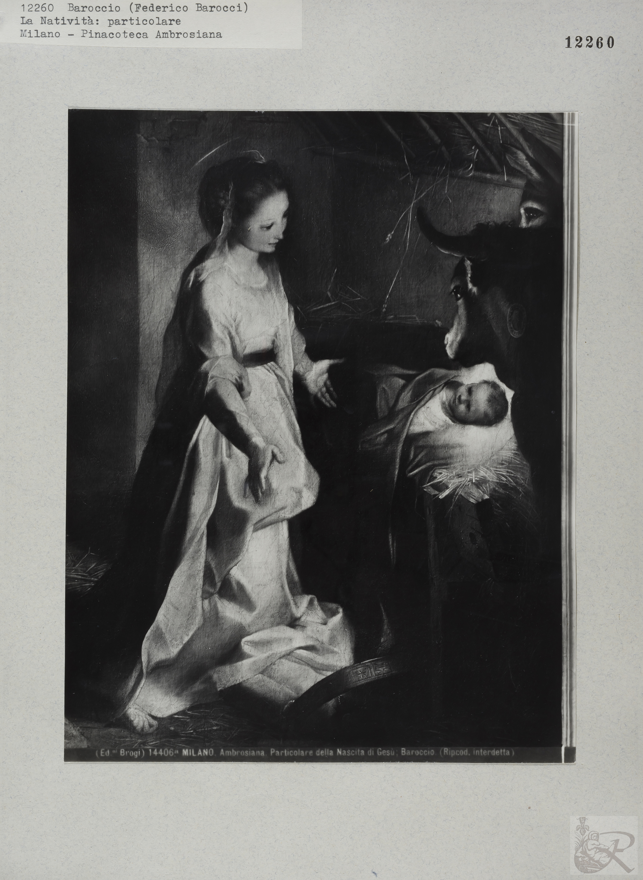 Immagine di anteprima