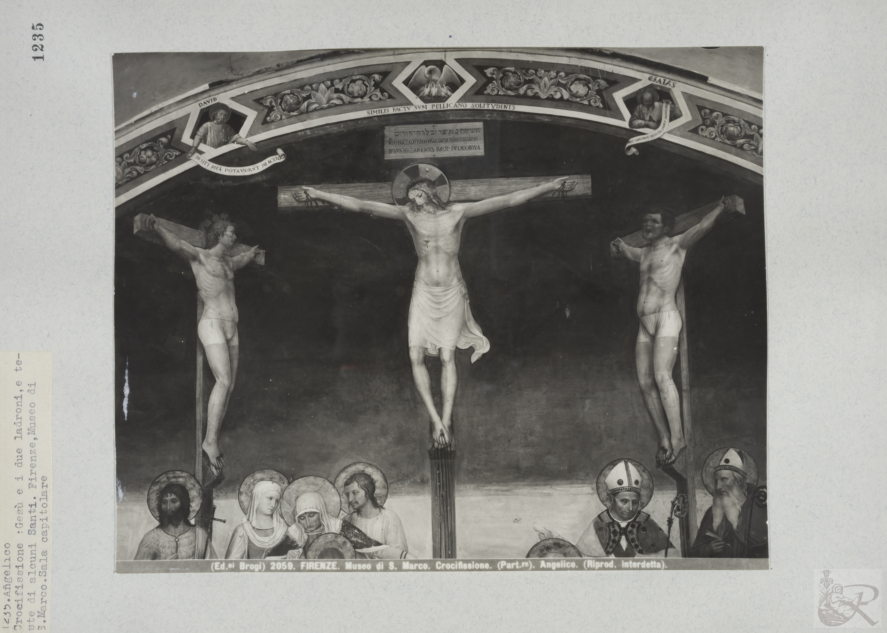 Immagine di anteprima