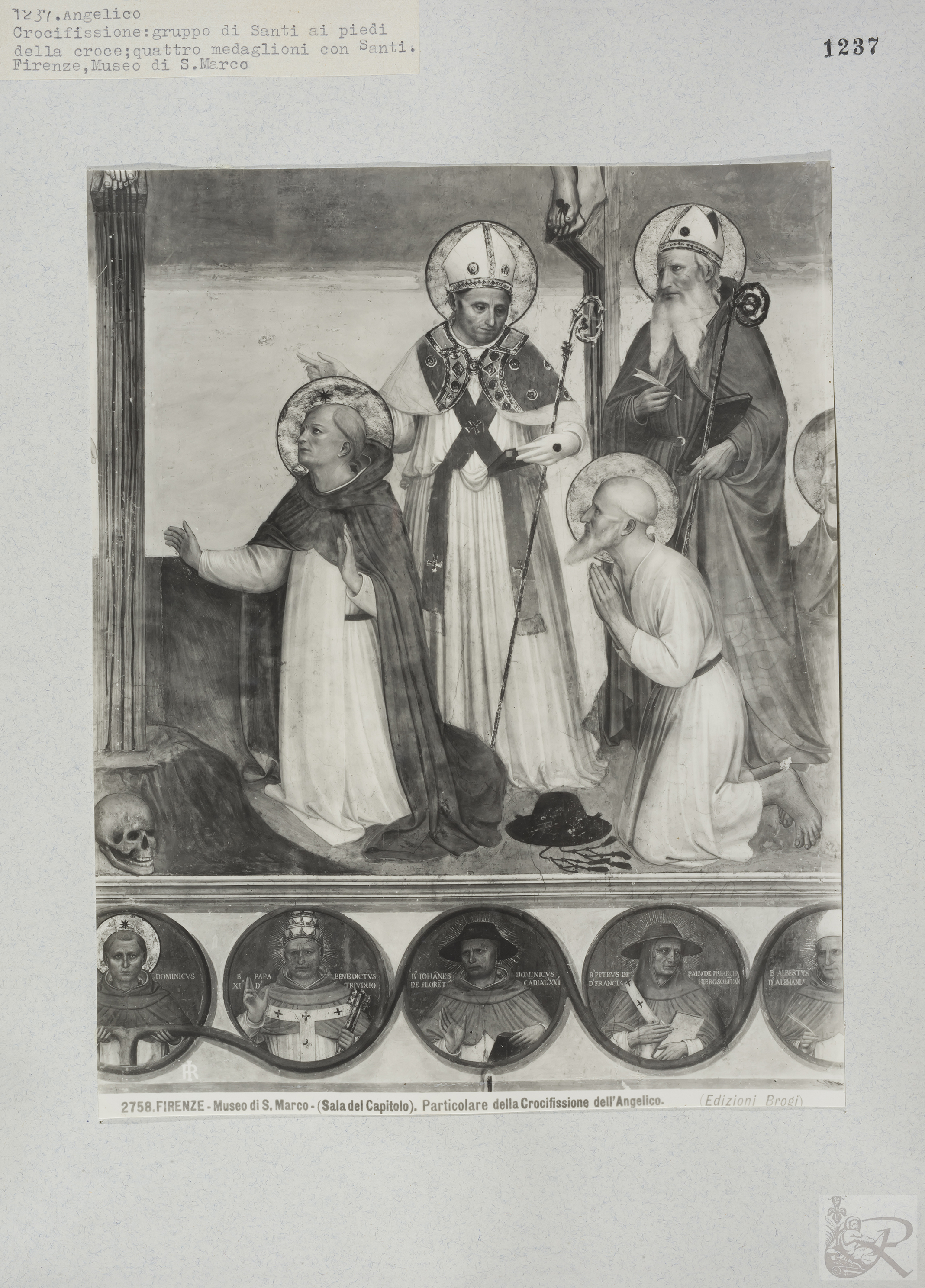 Immagine di anteprima