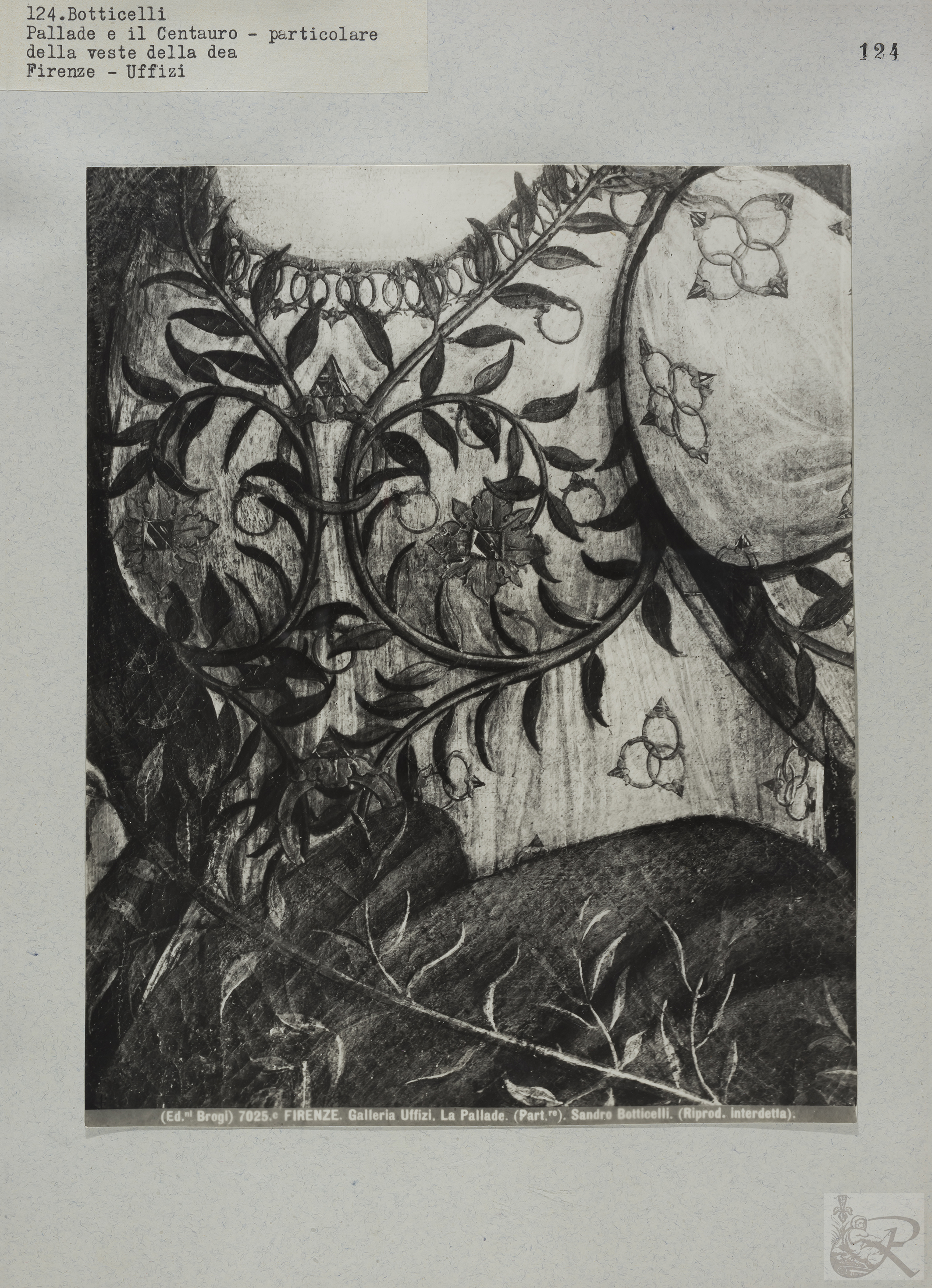 Immagine di anteprima