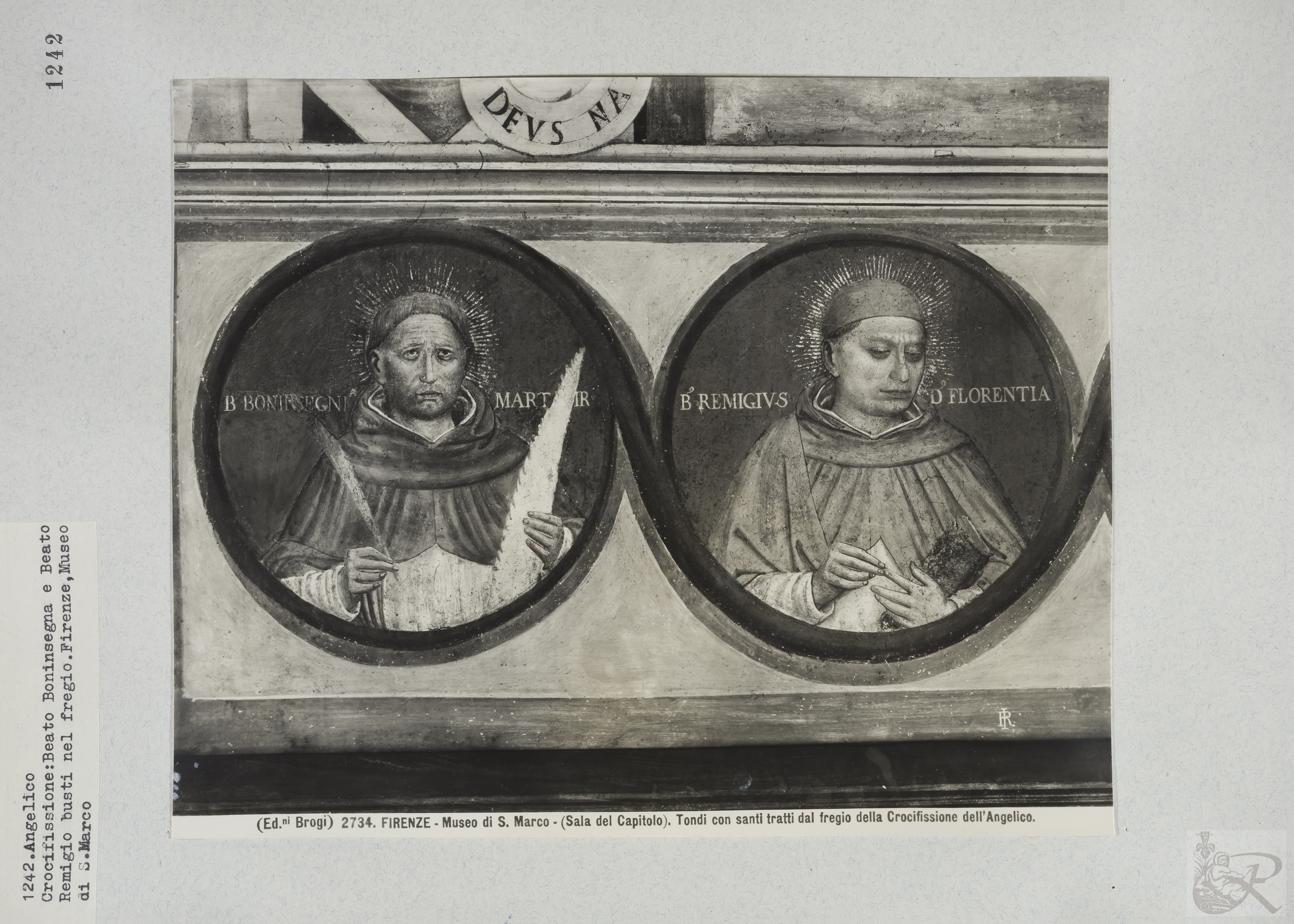 Immagine di anteprima