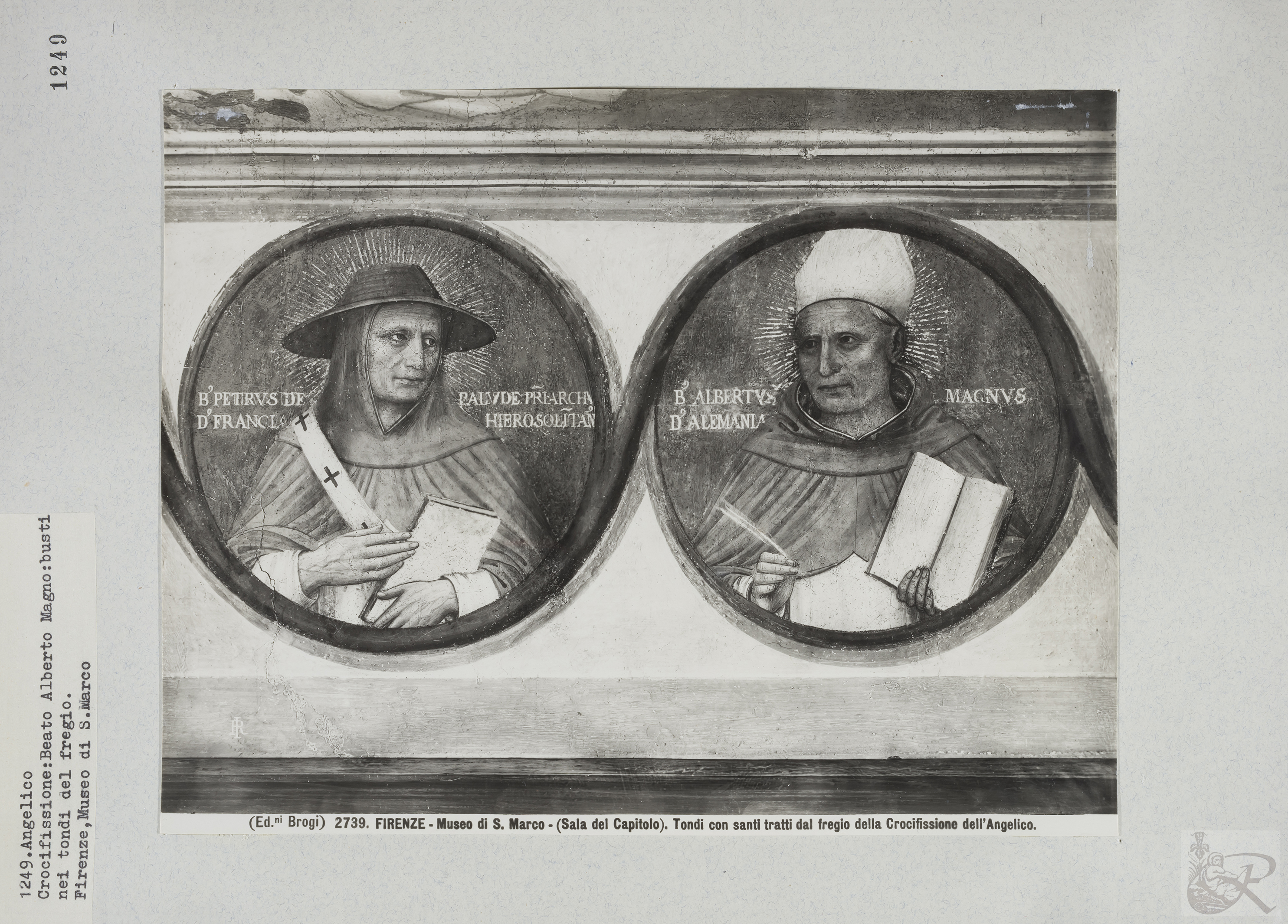 Immagine di anteprima